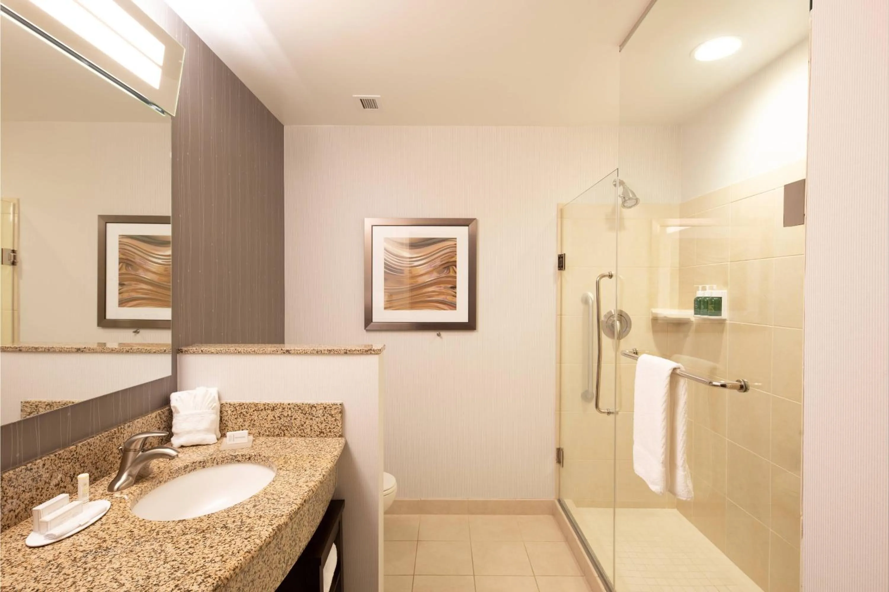 Bathroom in Courtyard by Marriott Greenville Downtown