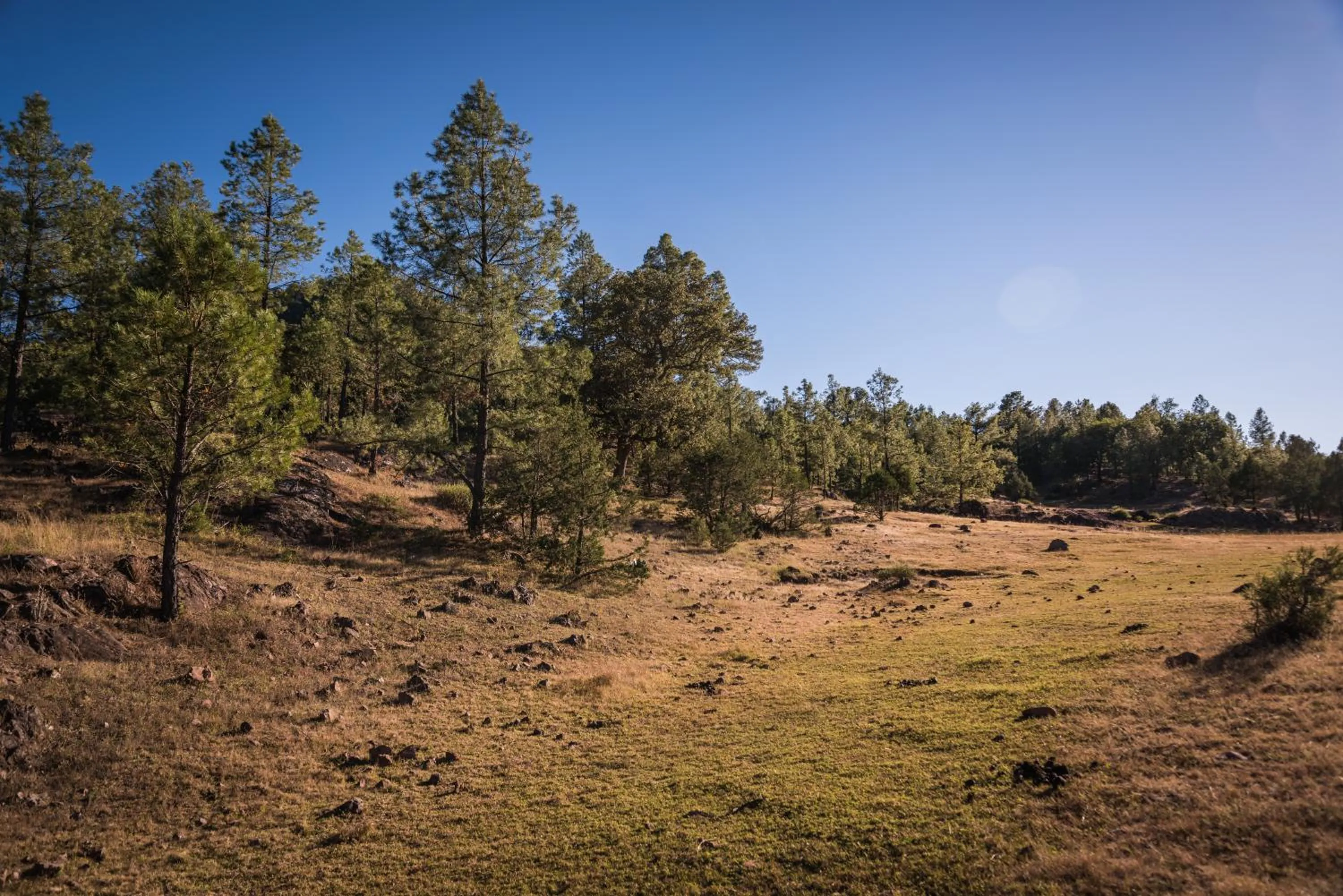 Off site in Hotel Misión Cerocahui a Balderrama Hotel Collection