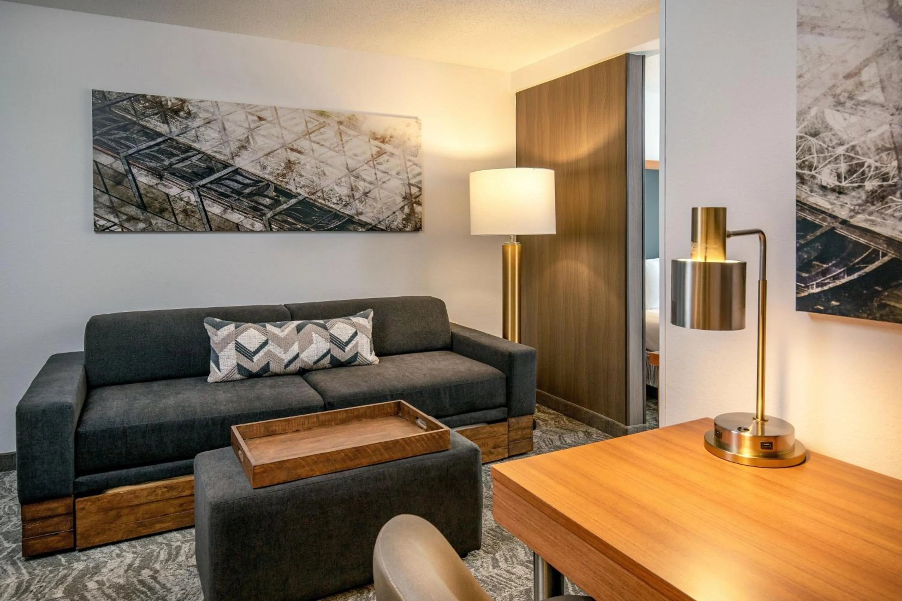 Photo of the whole room in SpringHill Suites by Marriott Hershey Near The Park