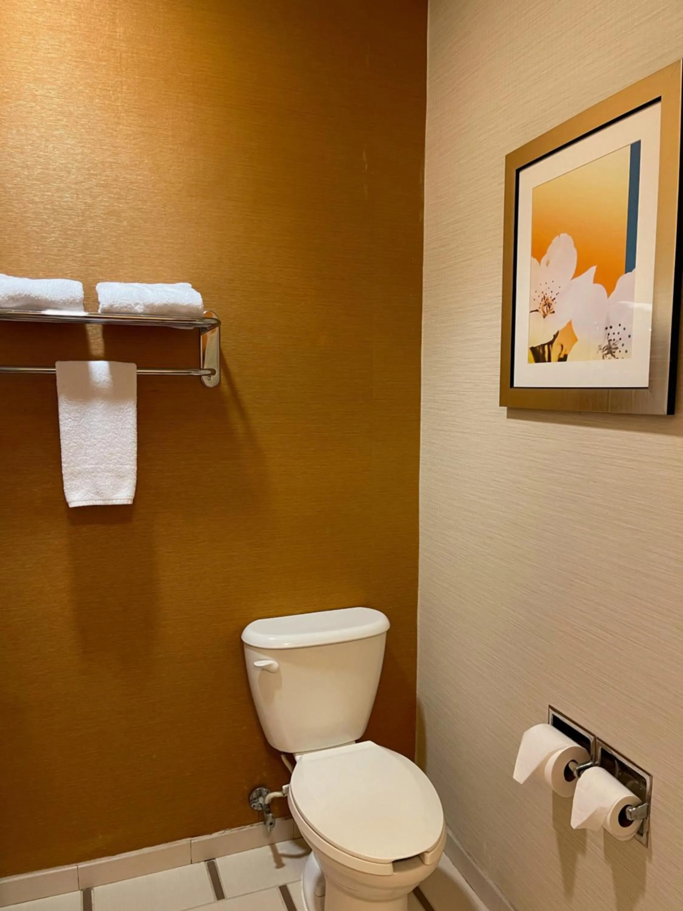 Bathroom in Baymont by Wyndham Chambersburg