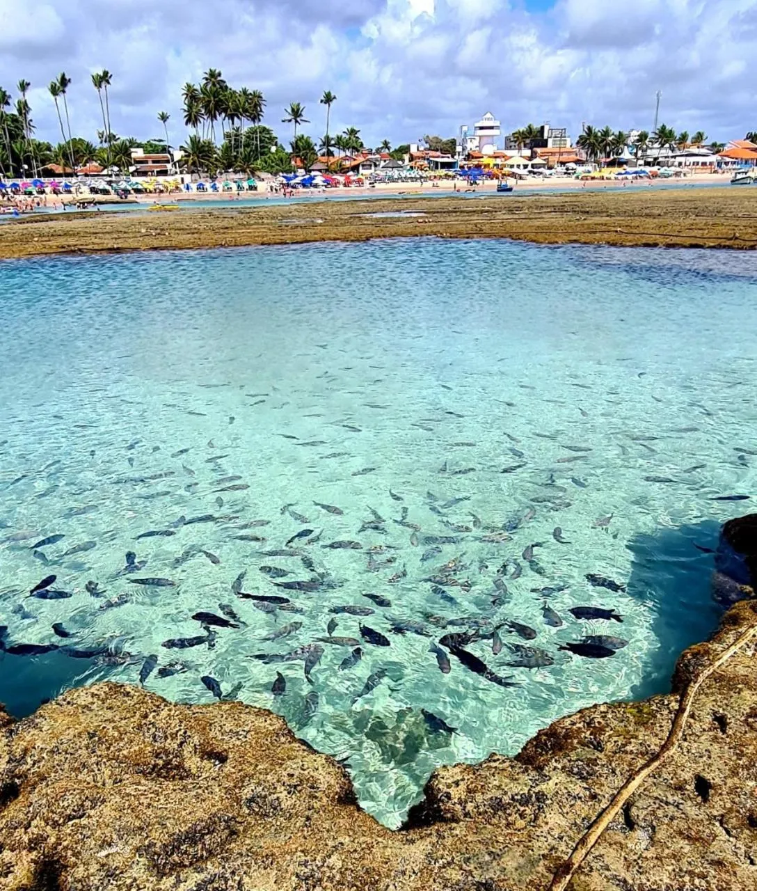 Natural landscape in Pousada Sal e Mar Maracaipe