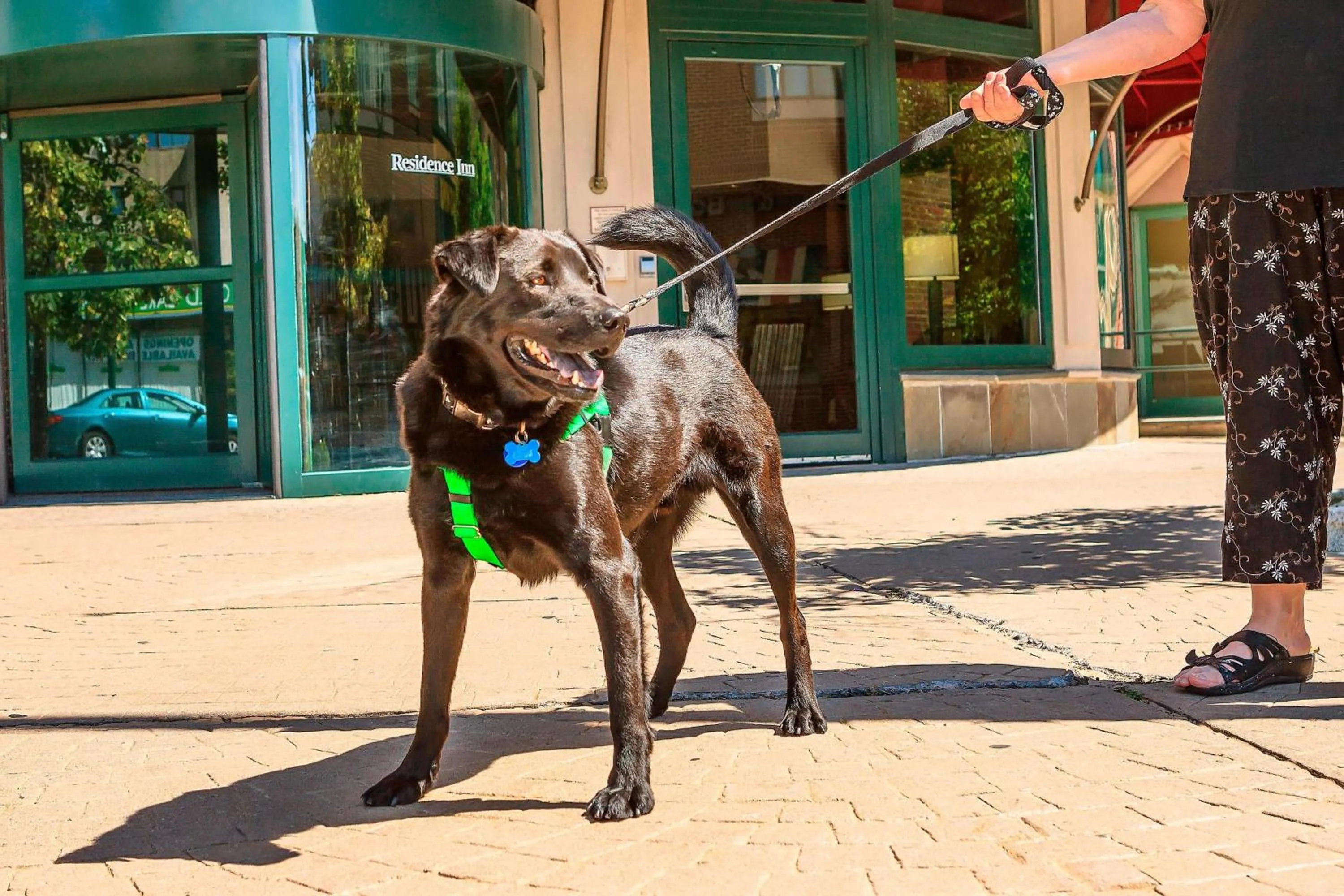 Other in Residence Inn New Rochelle
