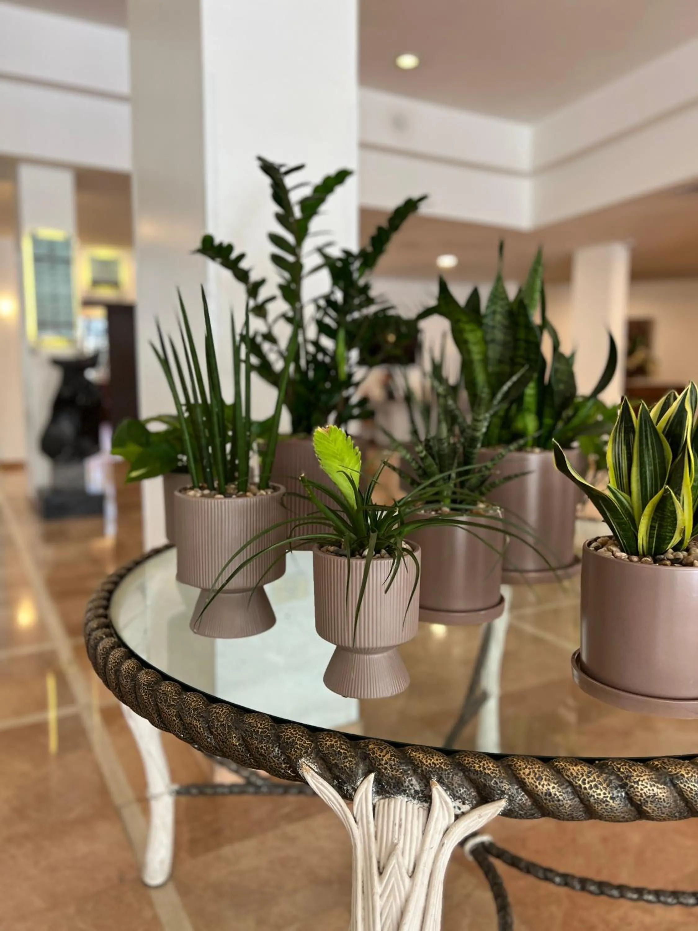 Lobby or reception in Caesar Premier Eilat Hotel