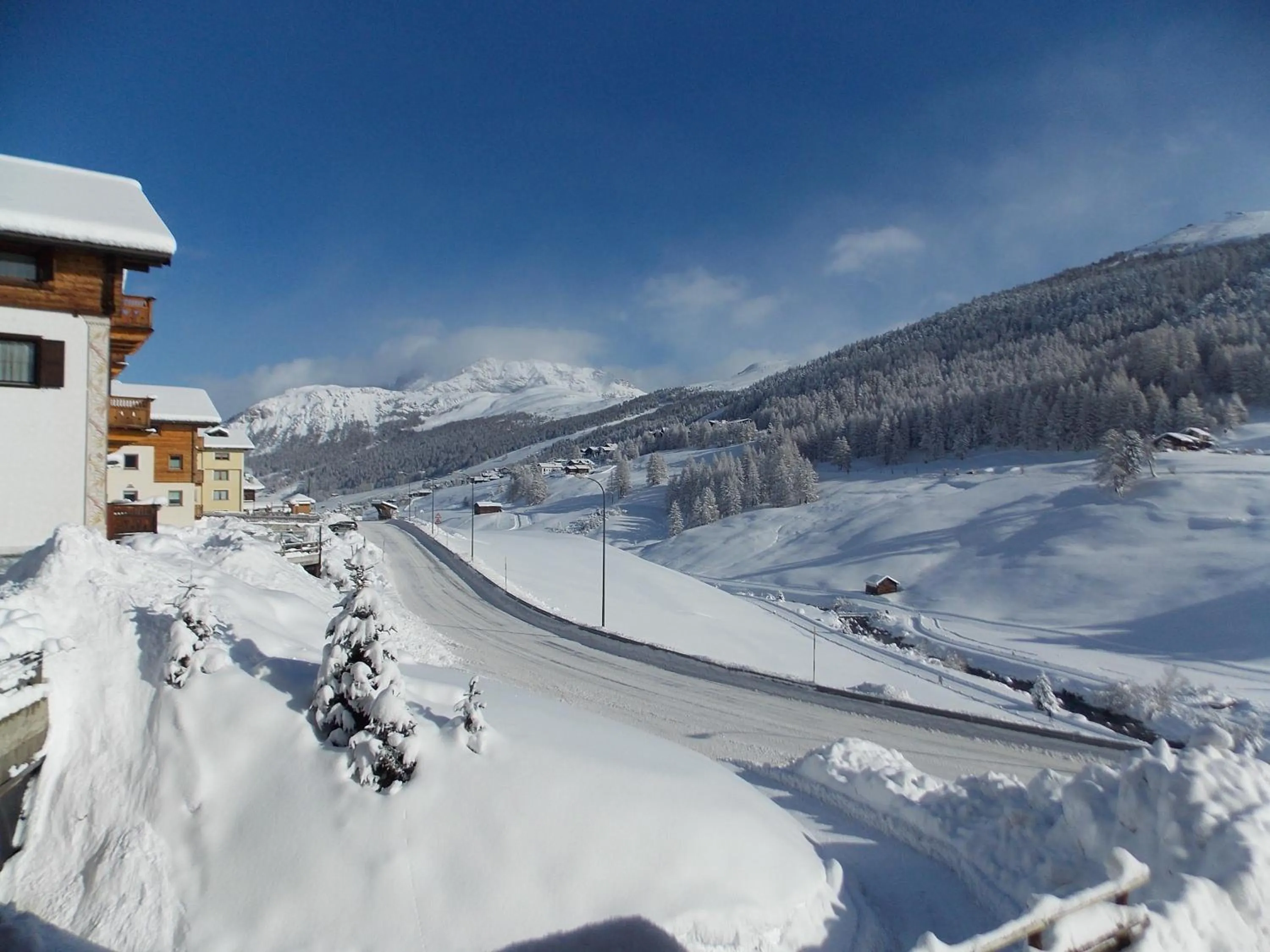 Neighbourhood in Hotel Primula