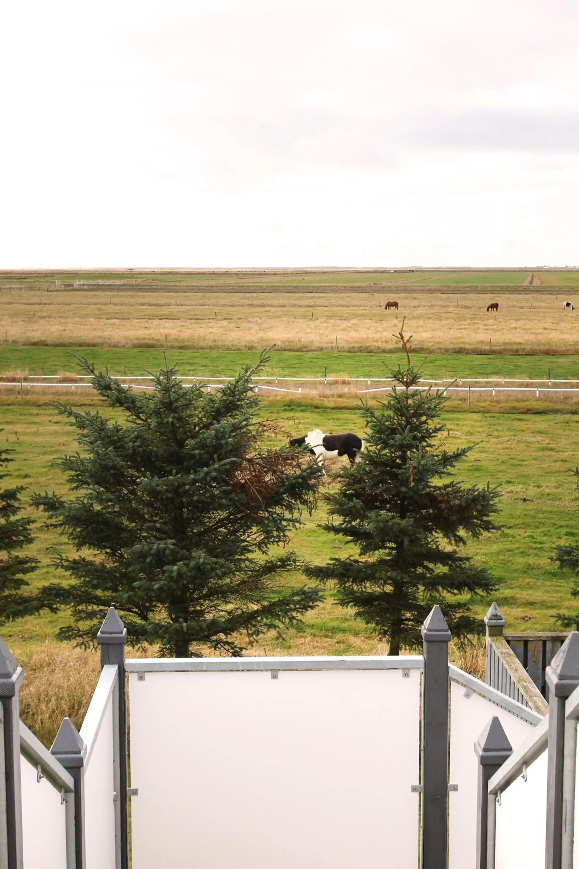 Natural landscape in Ármót Guesthouse