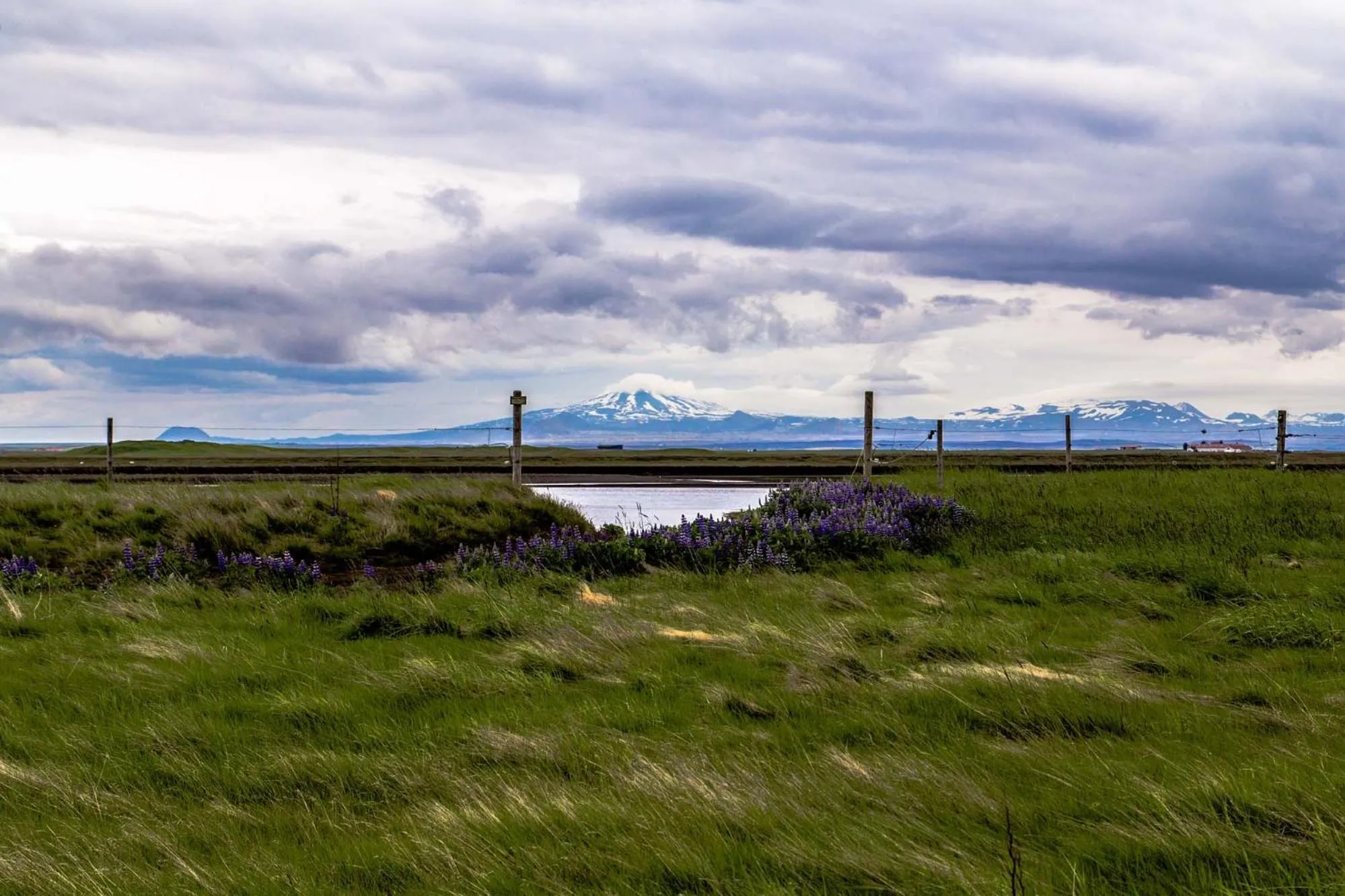 Natural landscape in Ármót Guesthouse