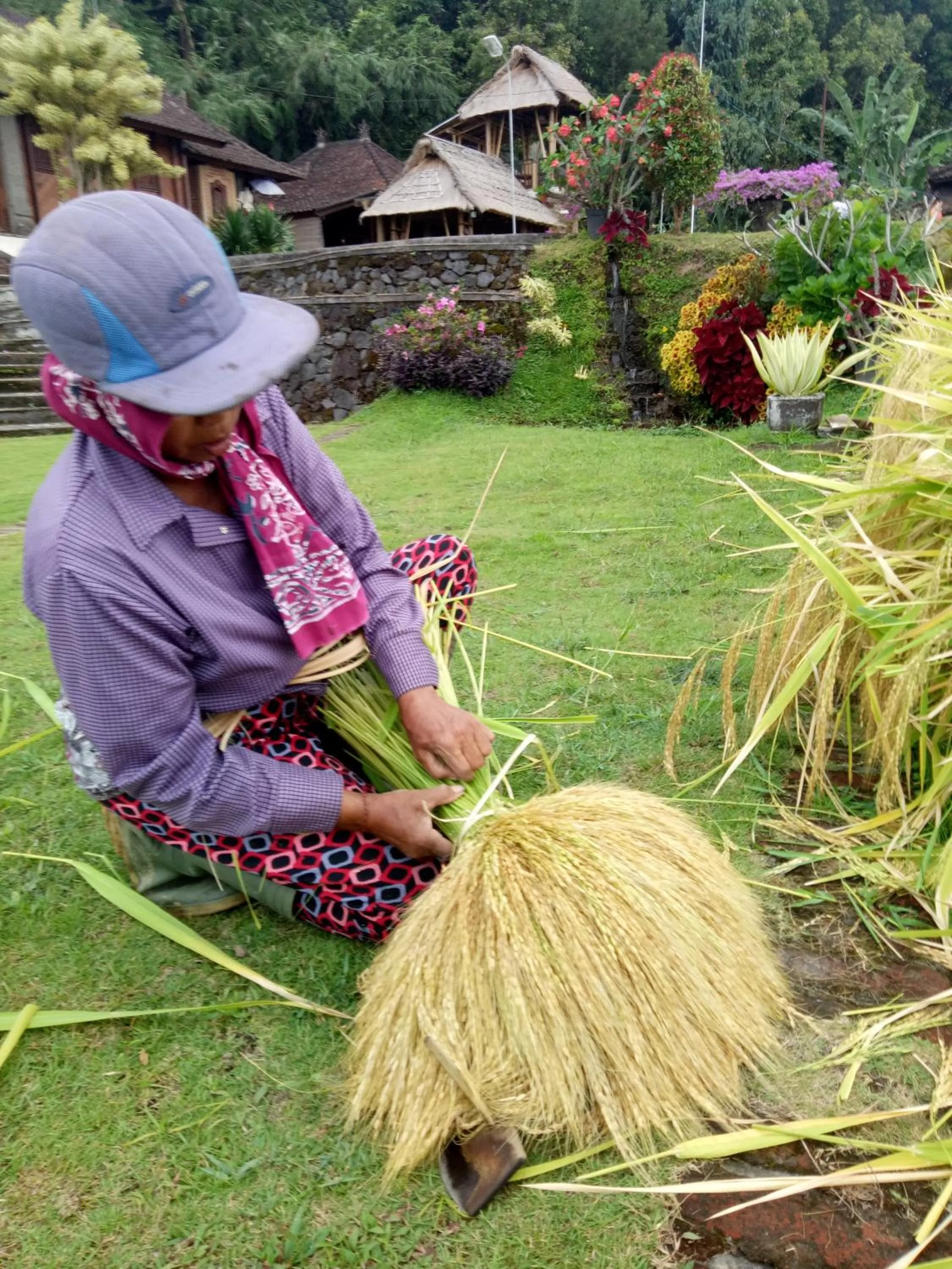 Activities in Puri Lumbung Cottages Restaurant & Spa Munduk