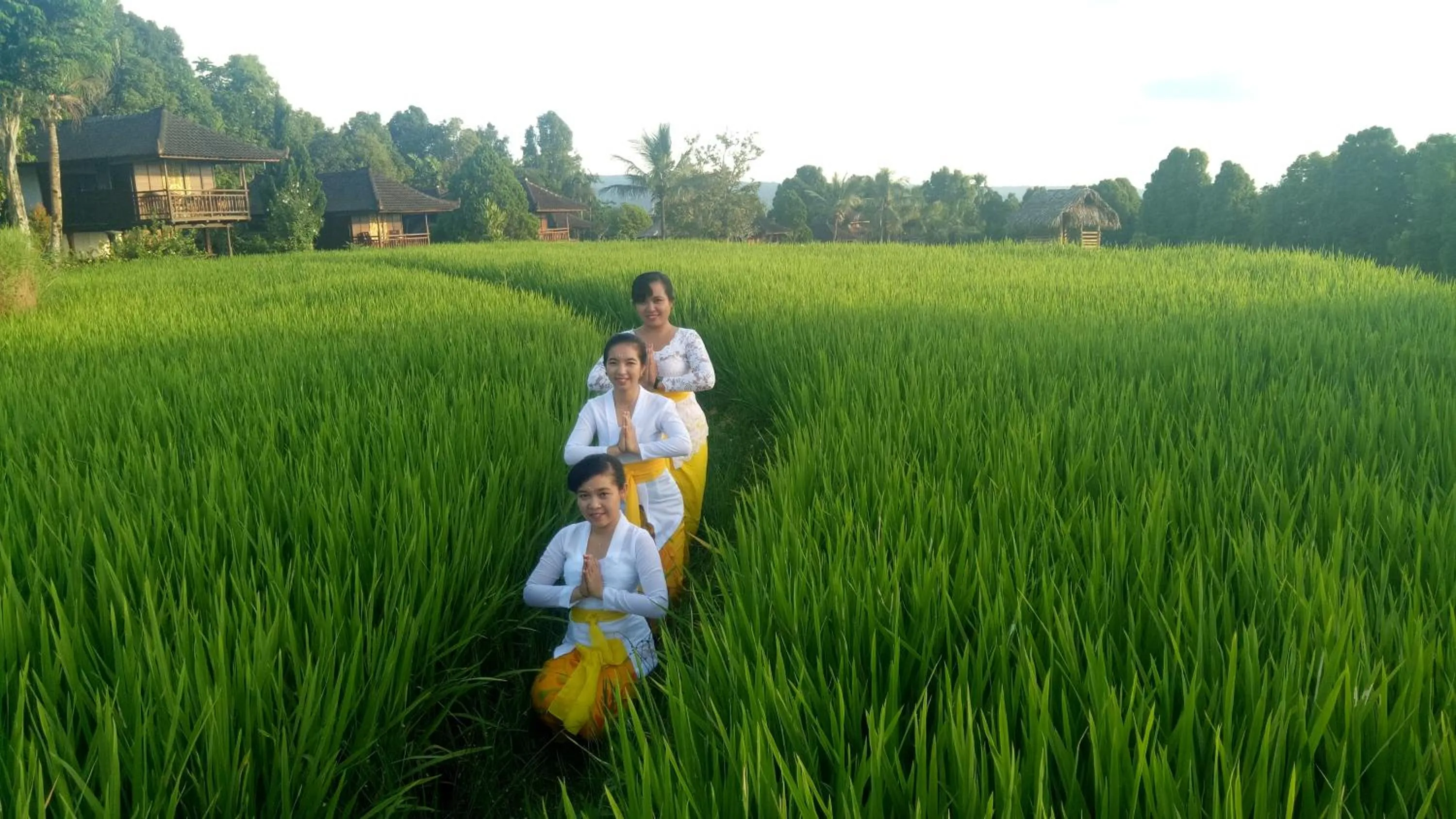 Entertainment in Puri Lumbung Cottages Restaurant & Spa Munduk