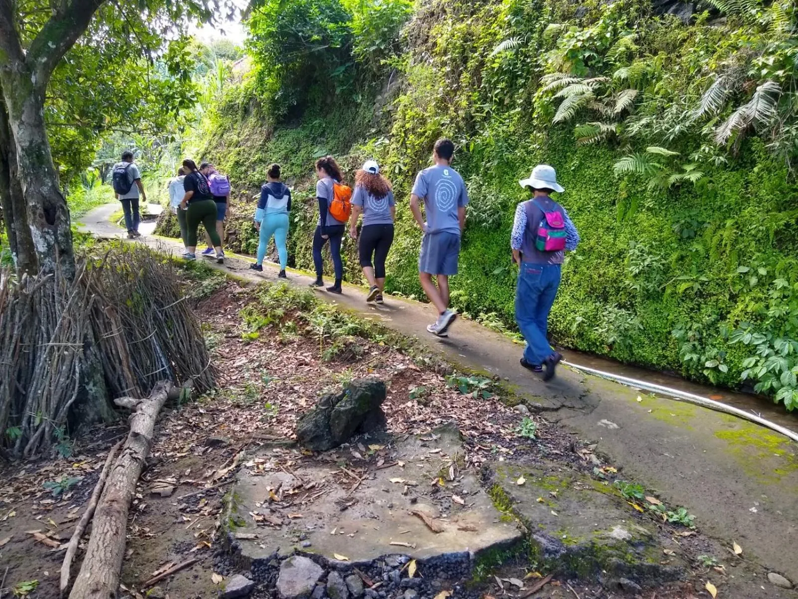 Hiking in Puri Lumbung Cottages Restaurant & Spa Munduk