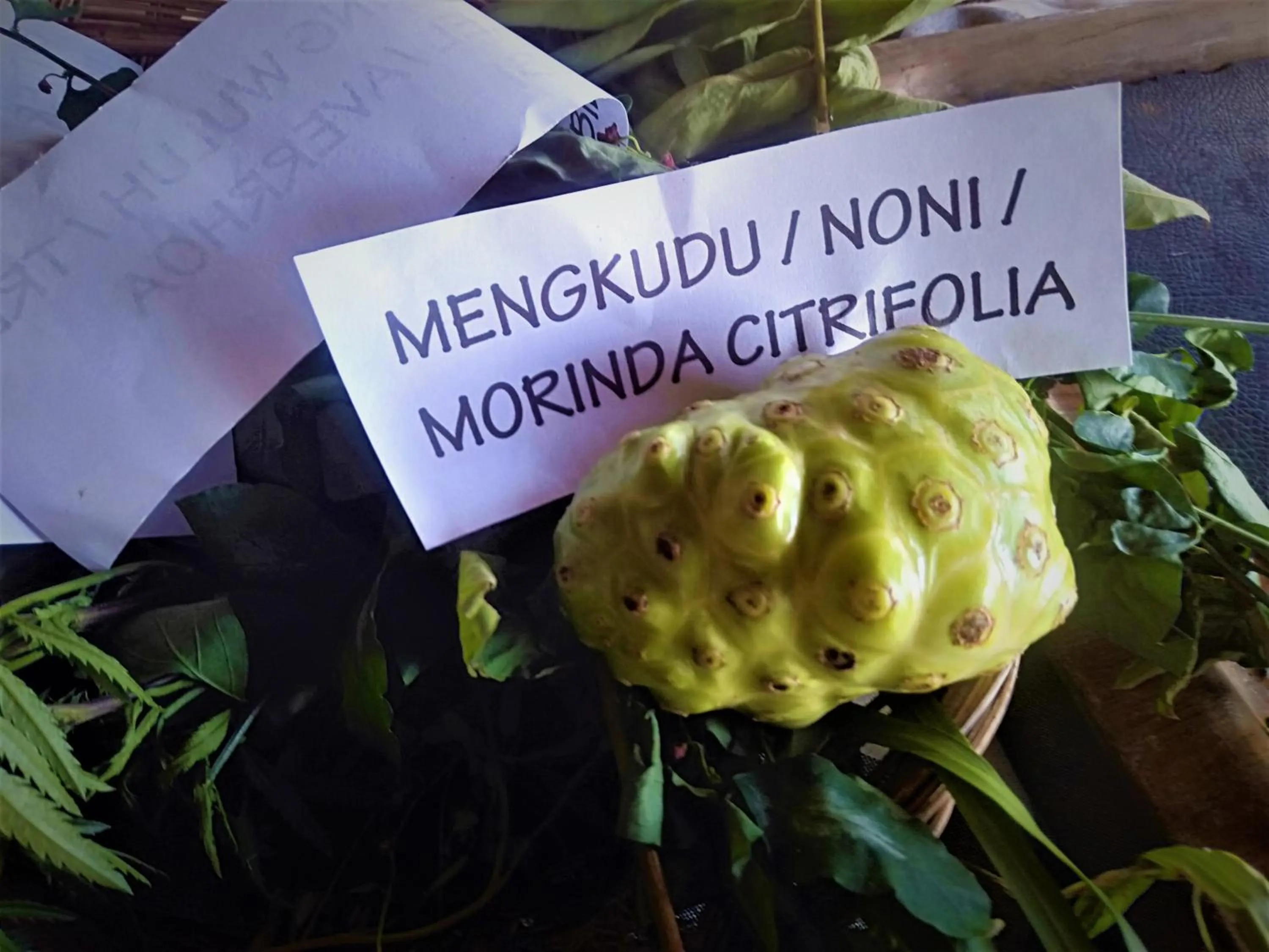 Activities in Puri Lumbung Cottages Restaurant & Spa Munduk