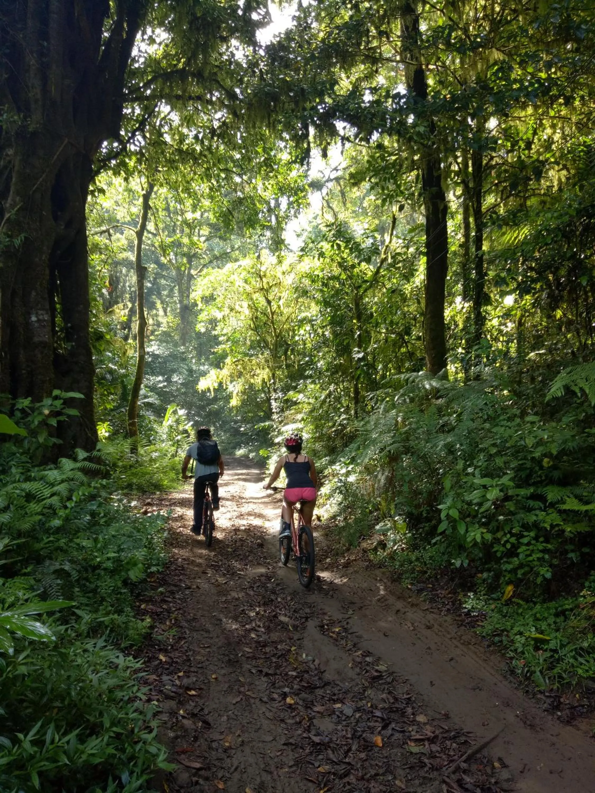 Hiking in Puri Lumbung Cottages Restaurant & Spa Munduk