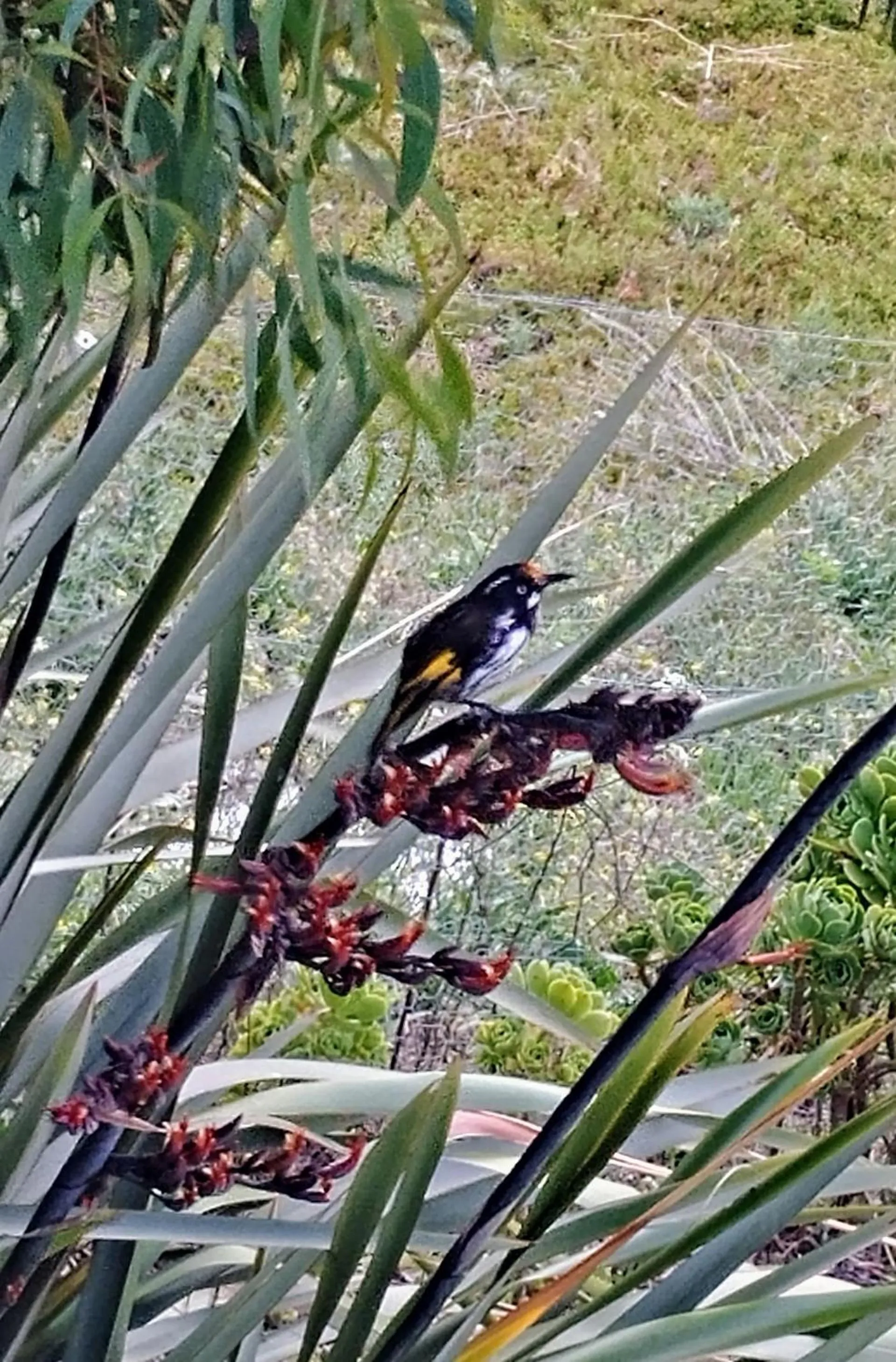 The View 2 bed unit with stunning Hobart outlook