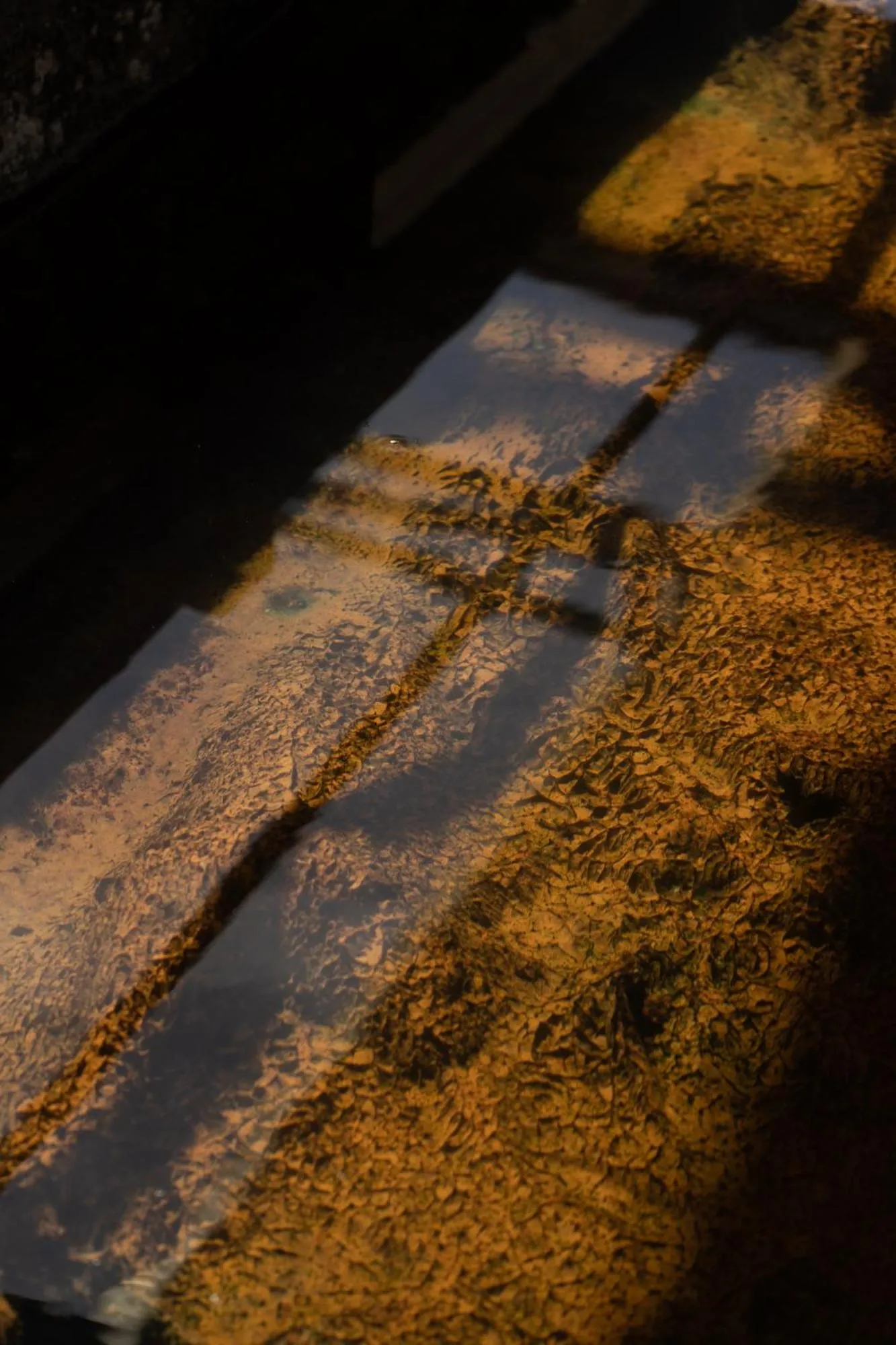 Spa and wellness centre/facilities in Hotel Terme Leonardo