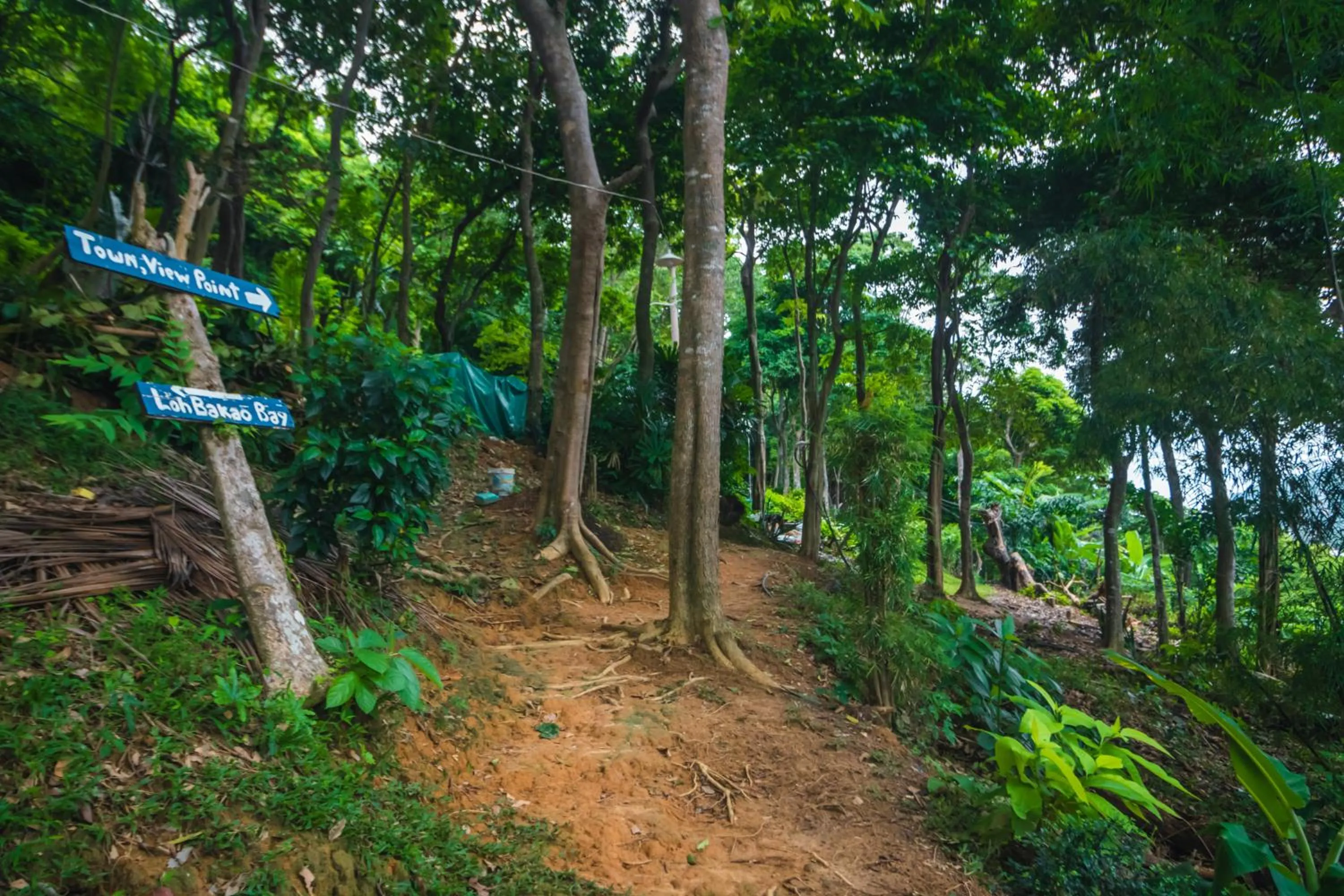 Phi Phi Sunset Bay Resort