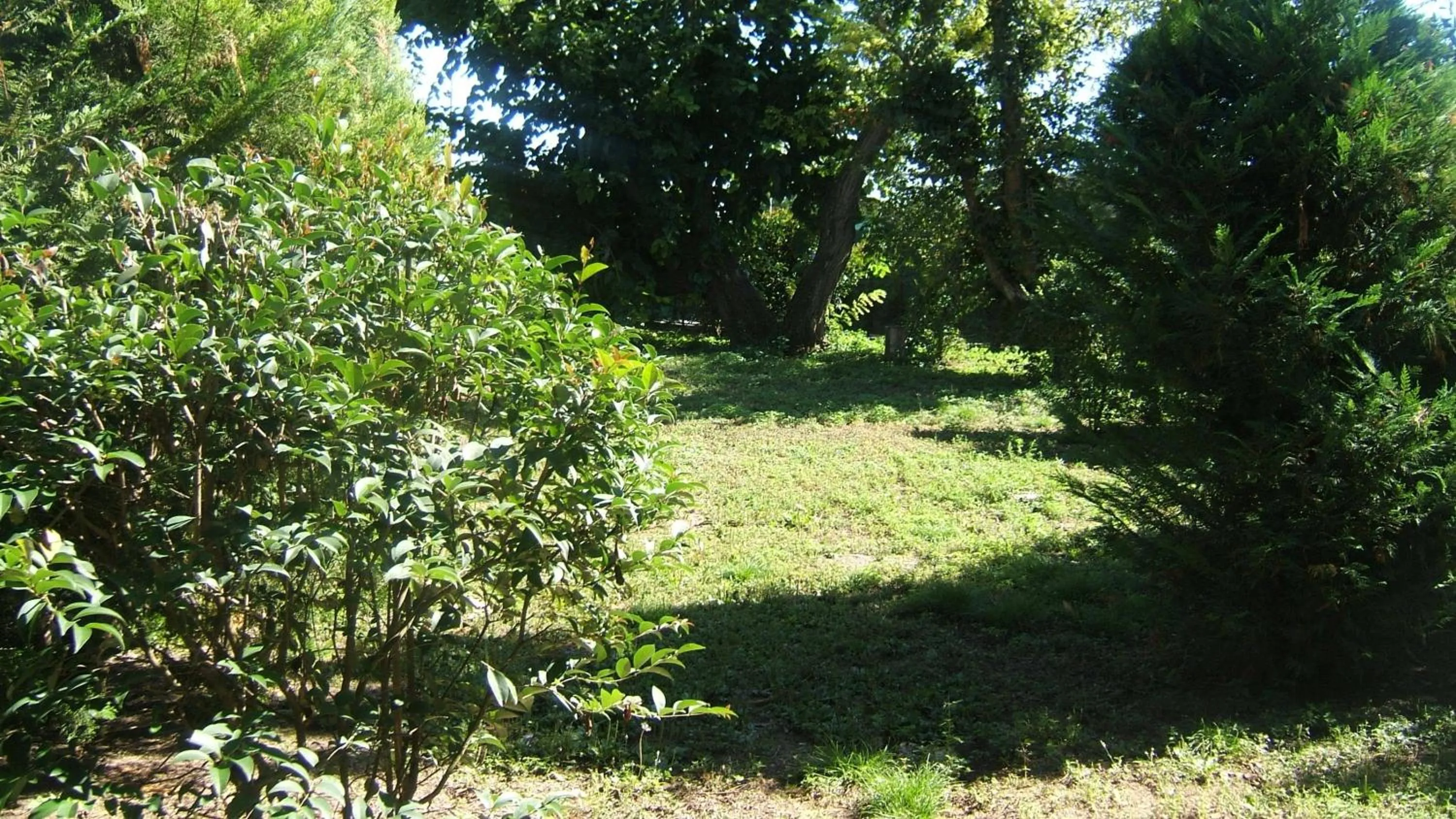 Garden in Locanda Canareggio