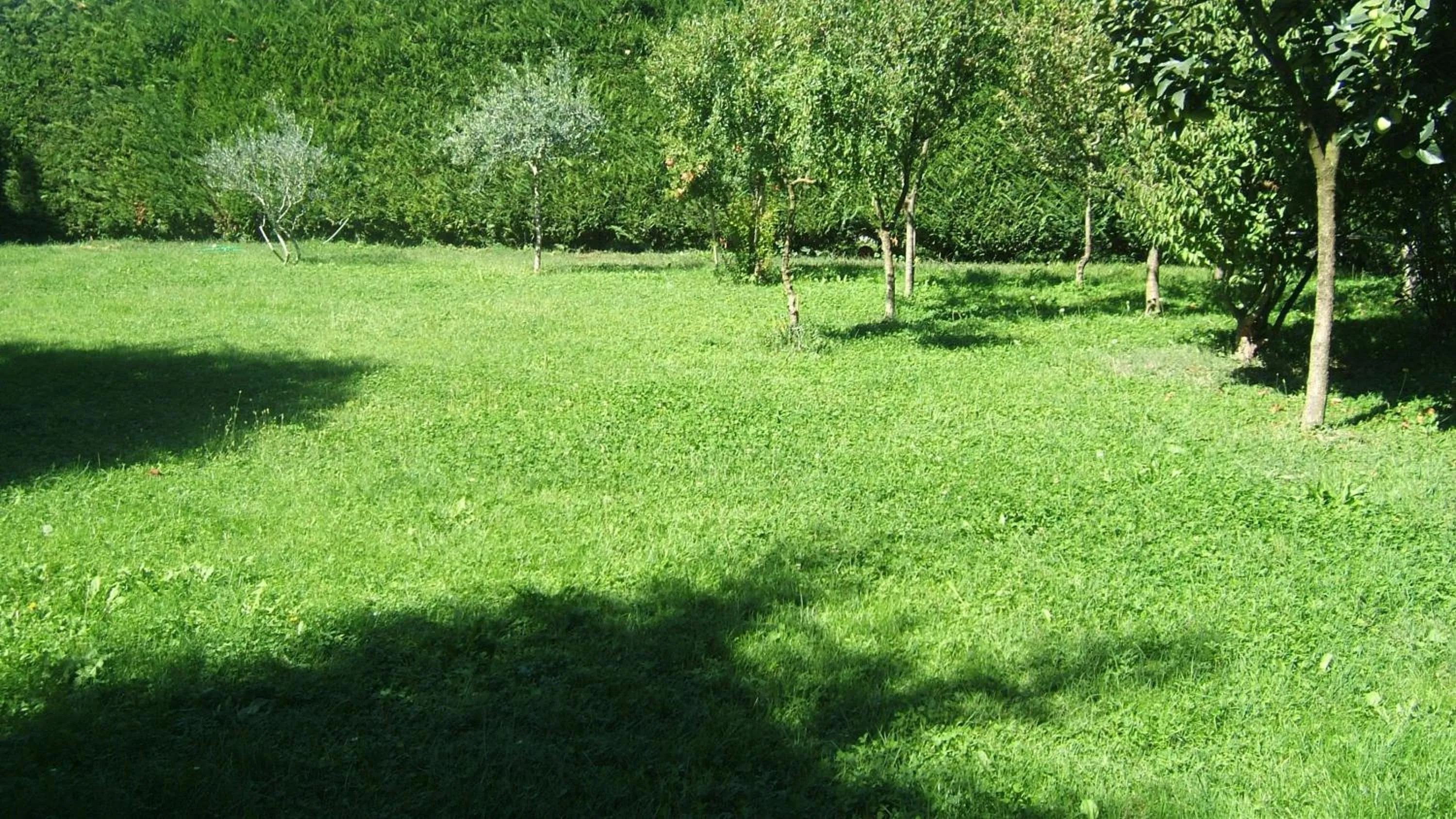 Garden in Locanda Canareggio