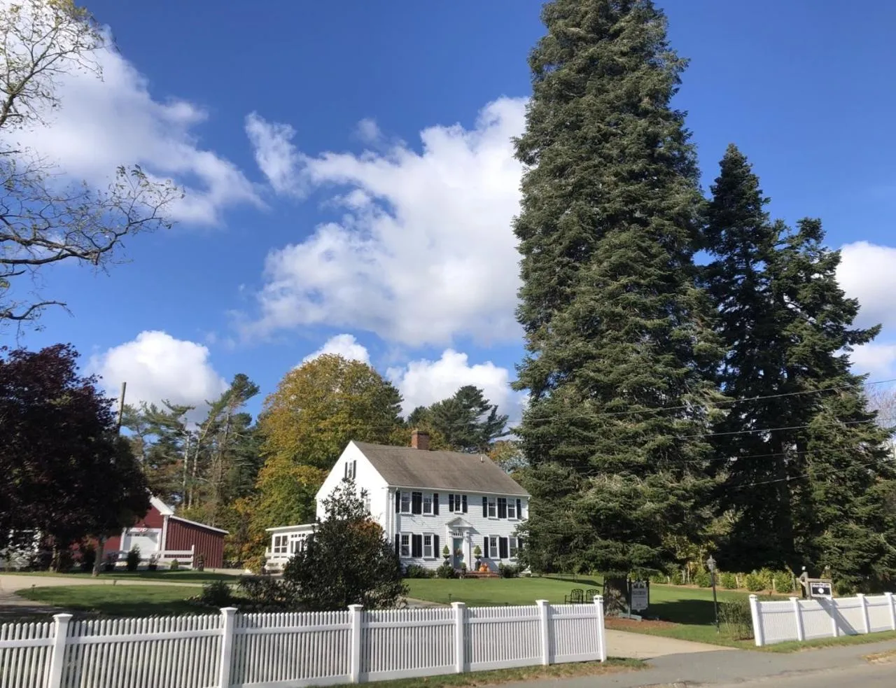 Other in Silvershell Inn