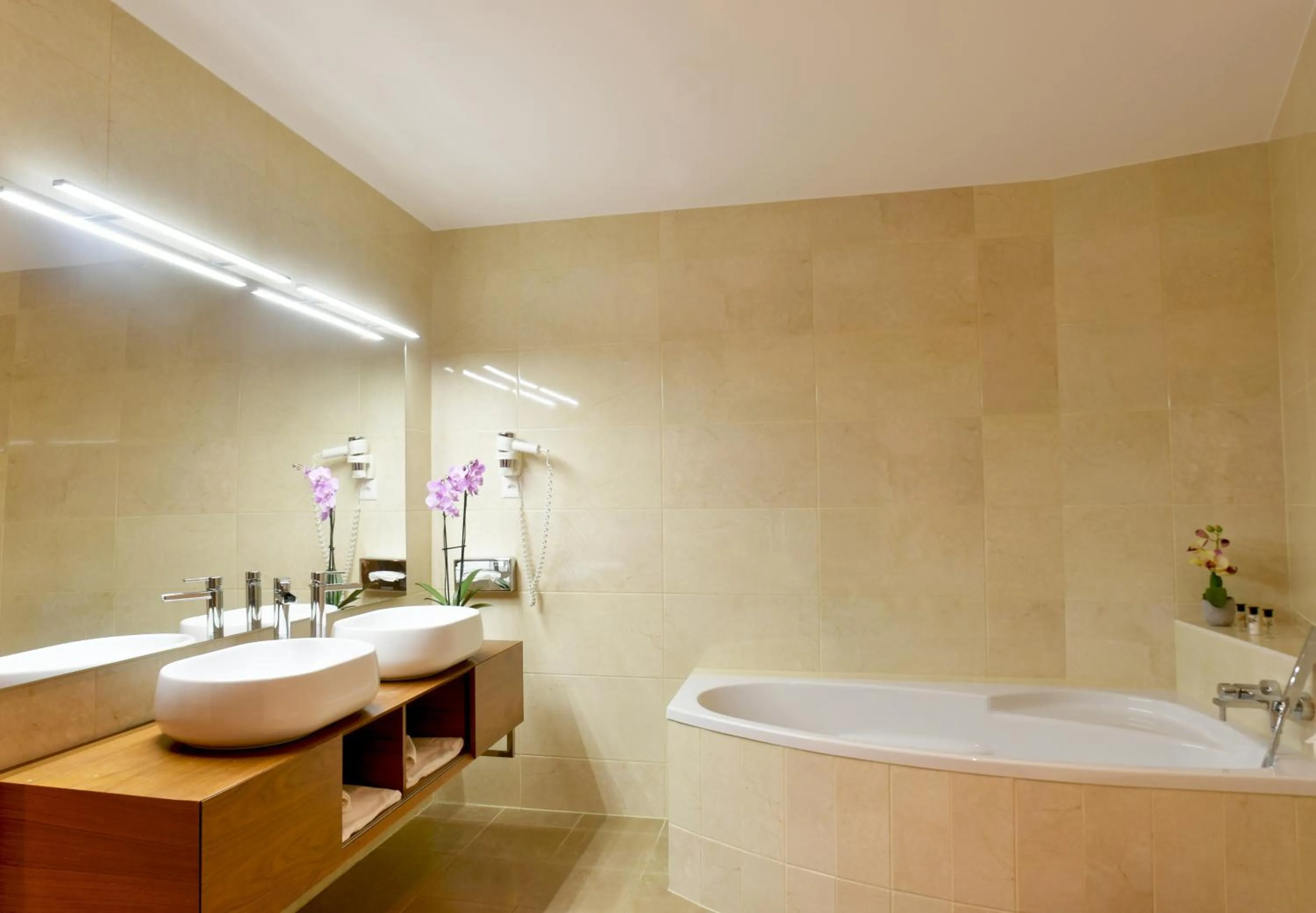 Bath in Baron Tavernier Hotel Restaurant & SPA