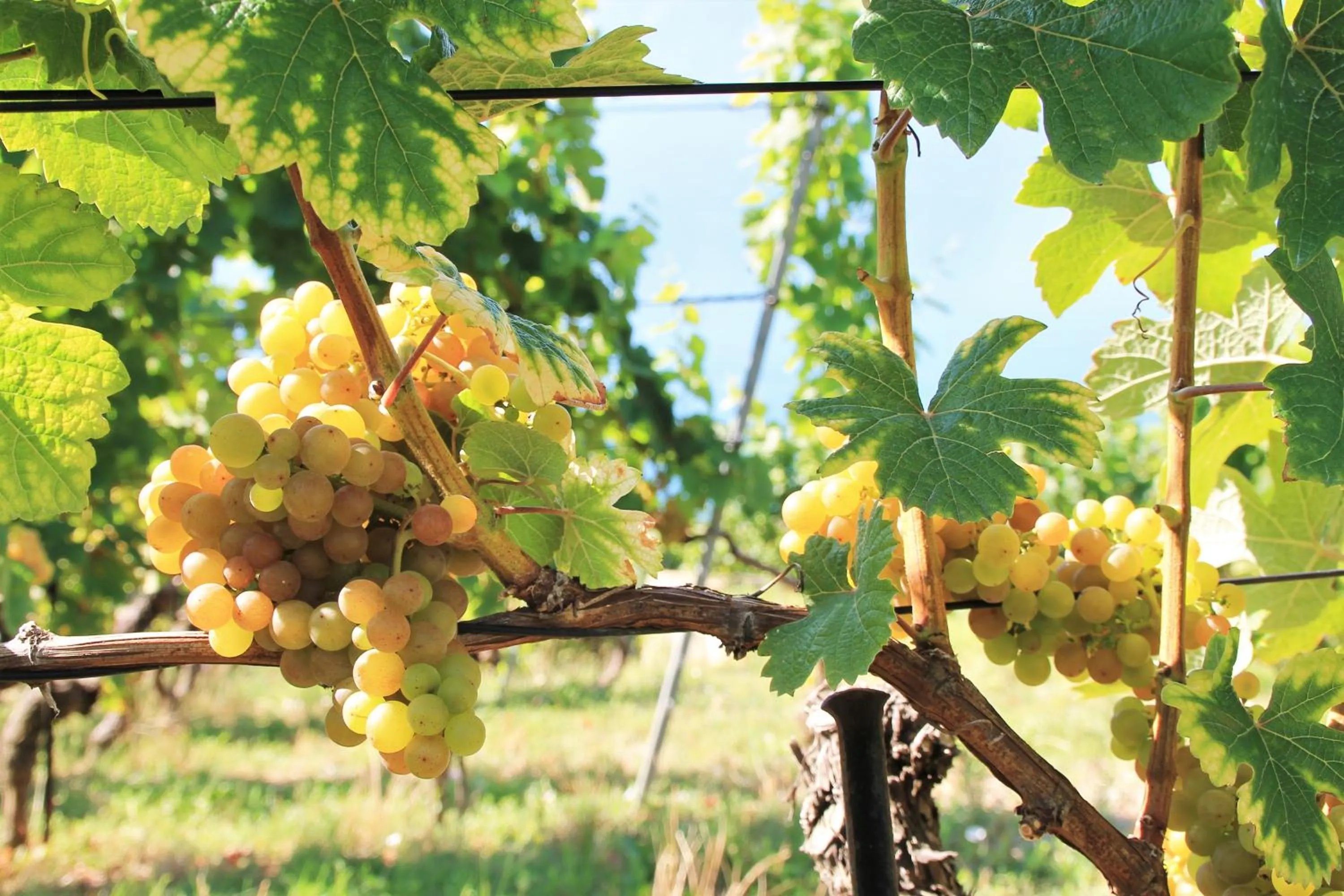 Day in Baron Tavernier Hotel Restaurant & SPA