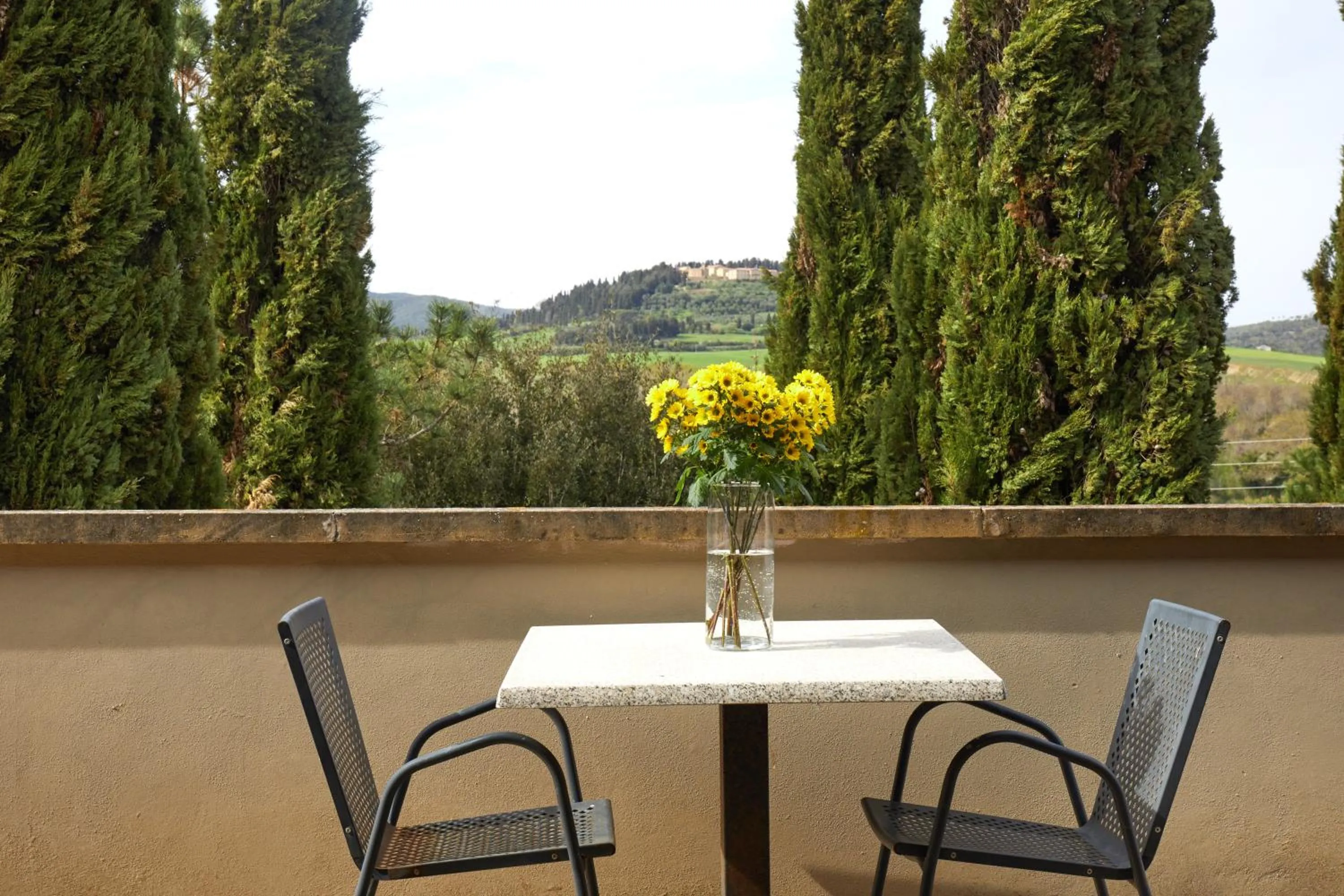 View (from property/room) in Hotel Fattoria Belvedere