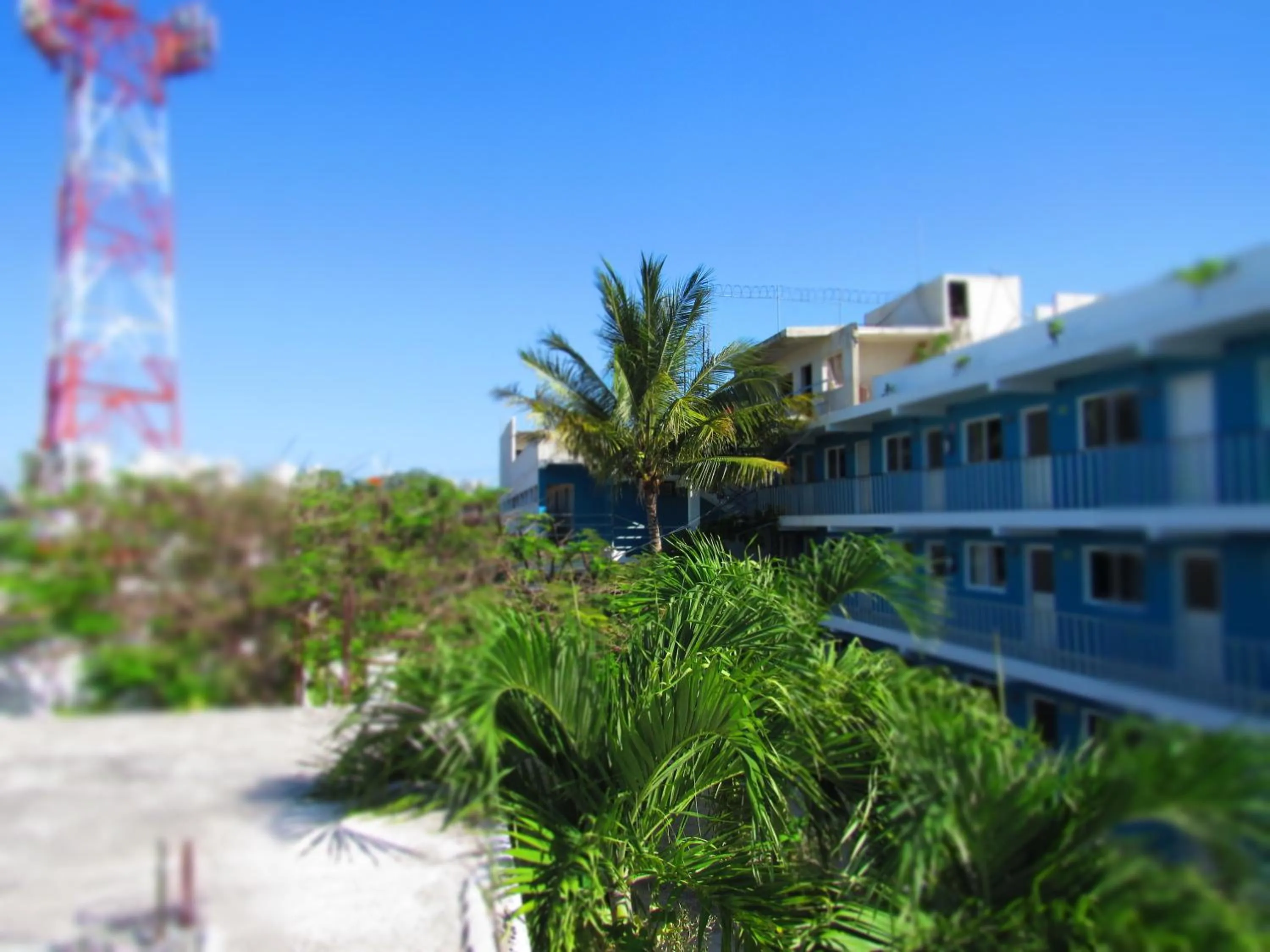 Property building in Blue Coconut Cancun Hotel