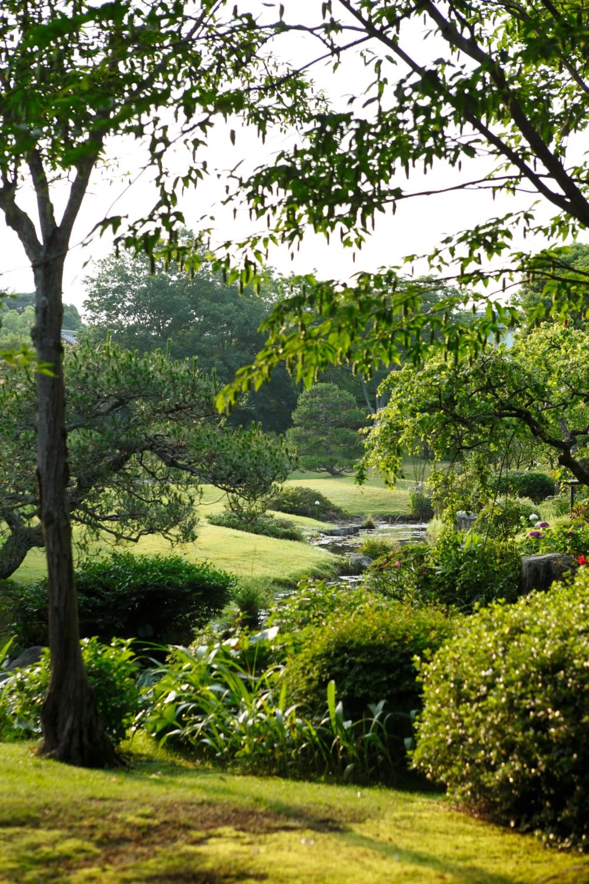Garden in Yamaha Resort Katsuragi Kitanomaru