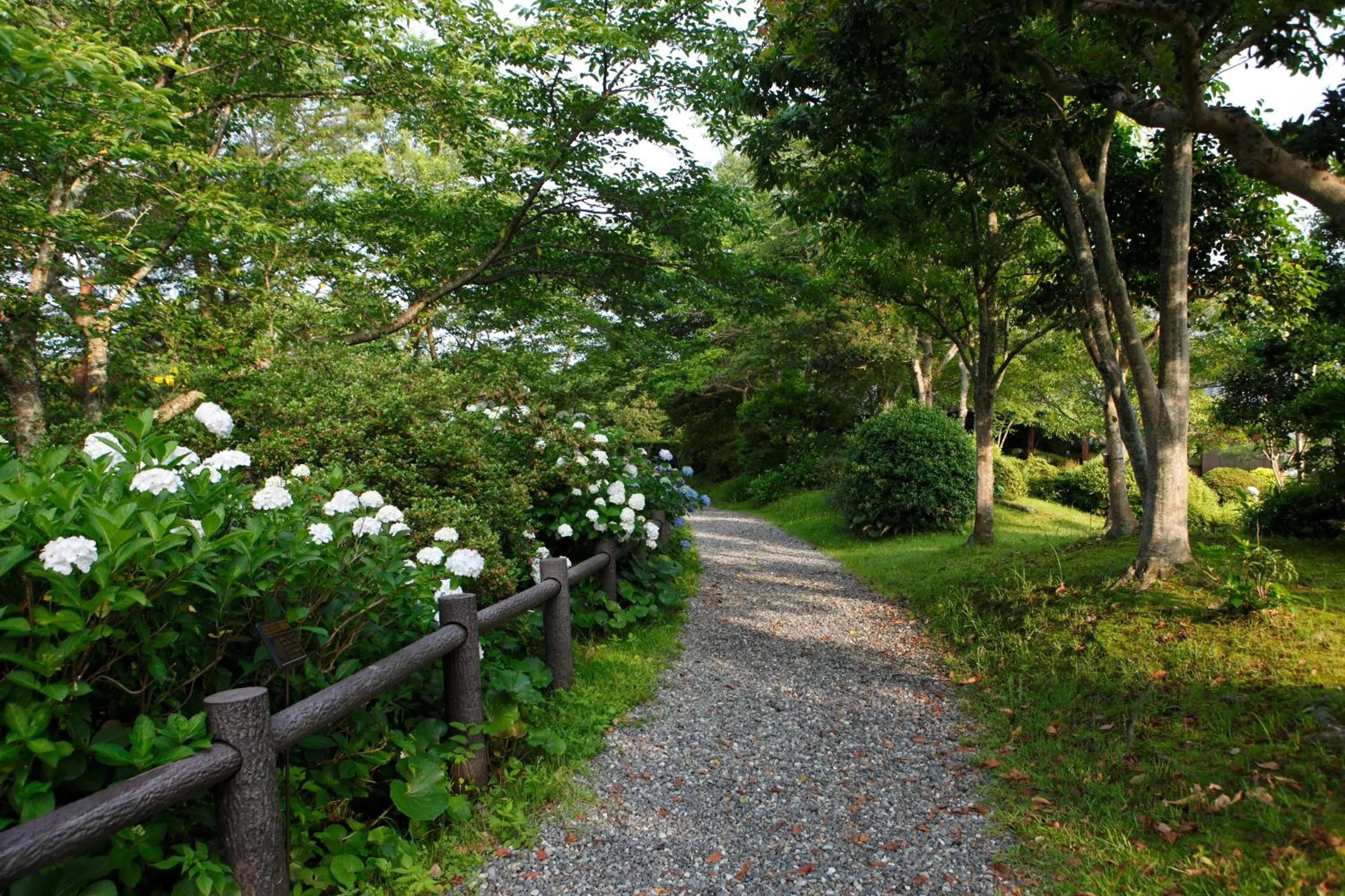 Garden in Yamaha Resort Katsuragi Kitanomaru