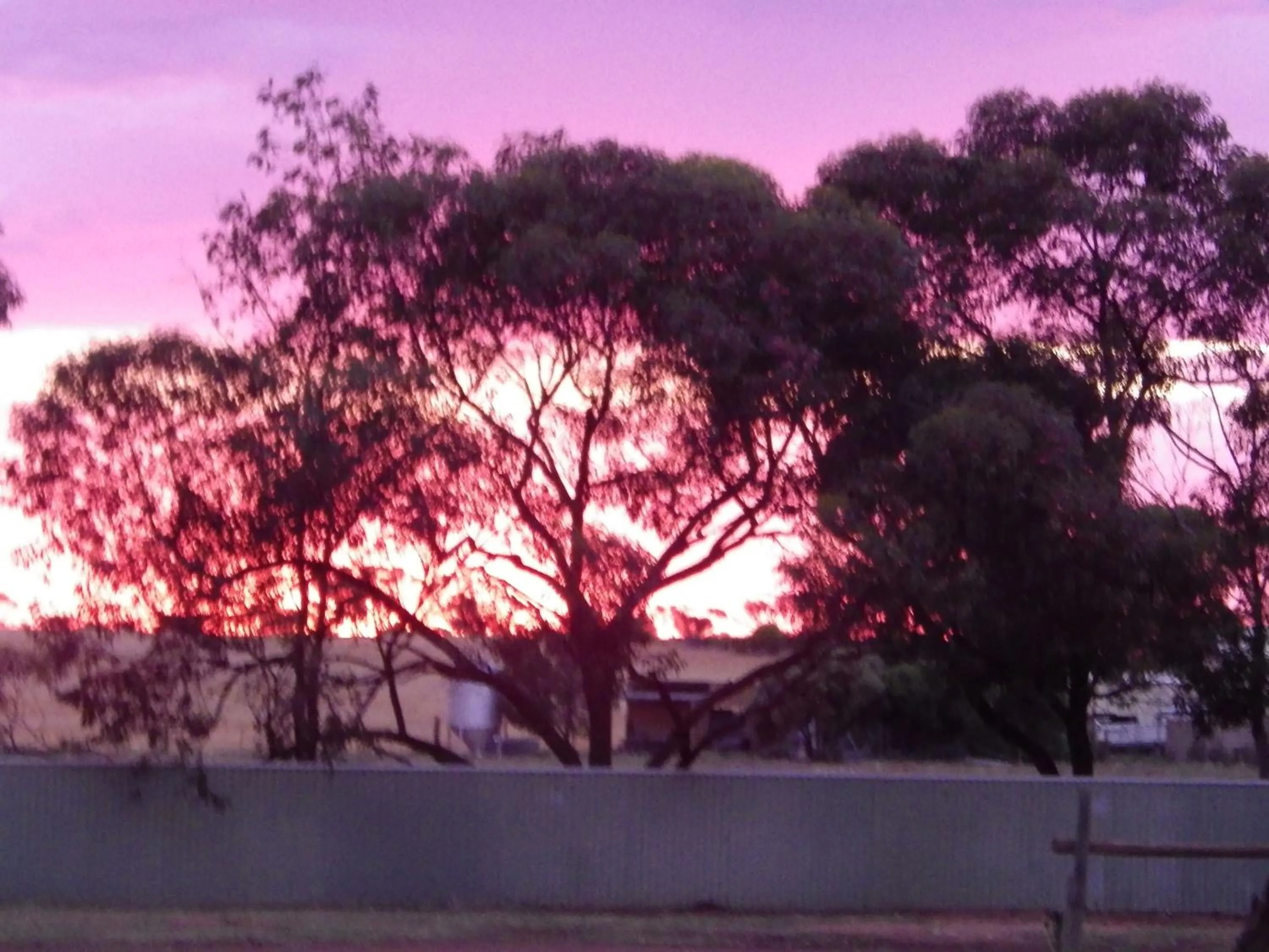 Wudinna Gawler Ranges Motel and Caravan Park