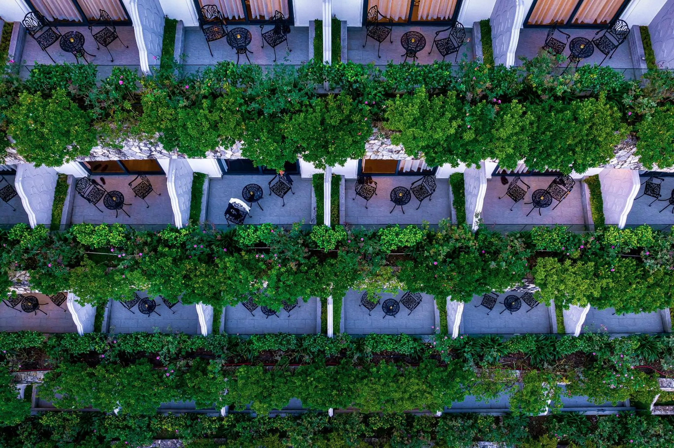 Garden view in Silk Path Grand Sapa Resort & Spa