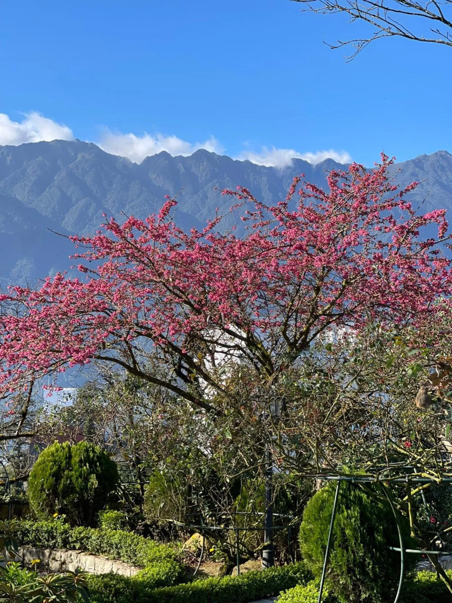 Garden in Silk Path Grand Sapa Resort & Spa