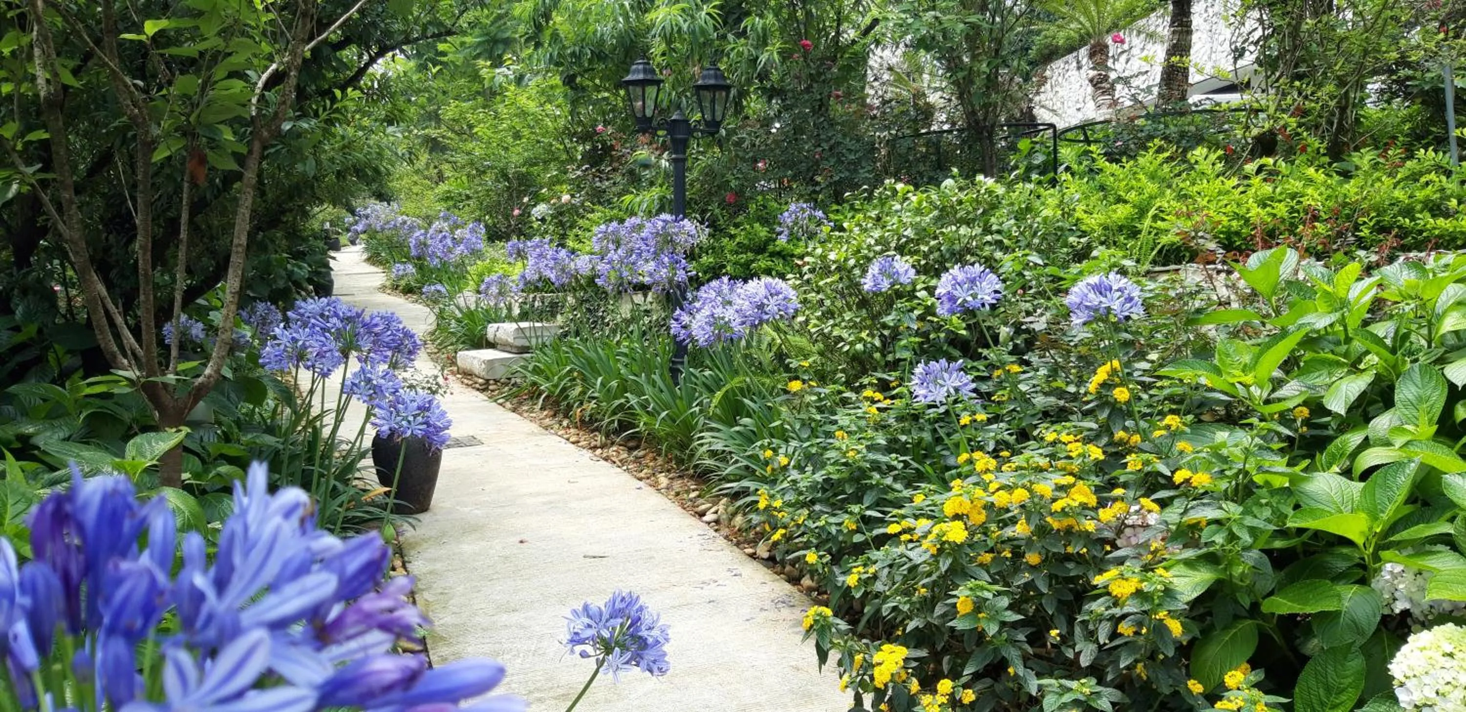 Garden in Silk Path Grand Sapa Resort & Spa