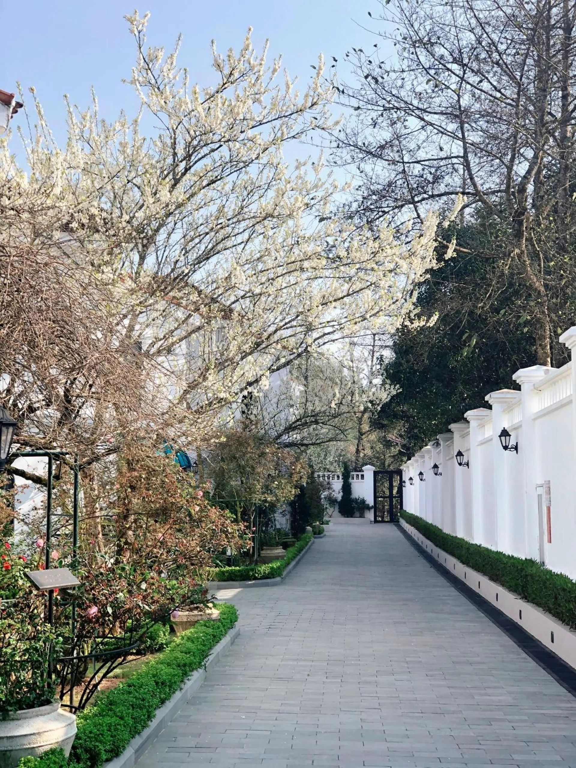 Garden view in Silk Path Grand Sapa Resort & Spa