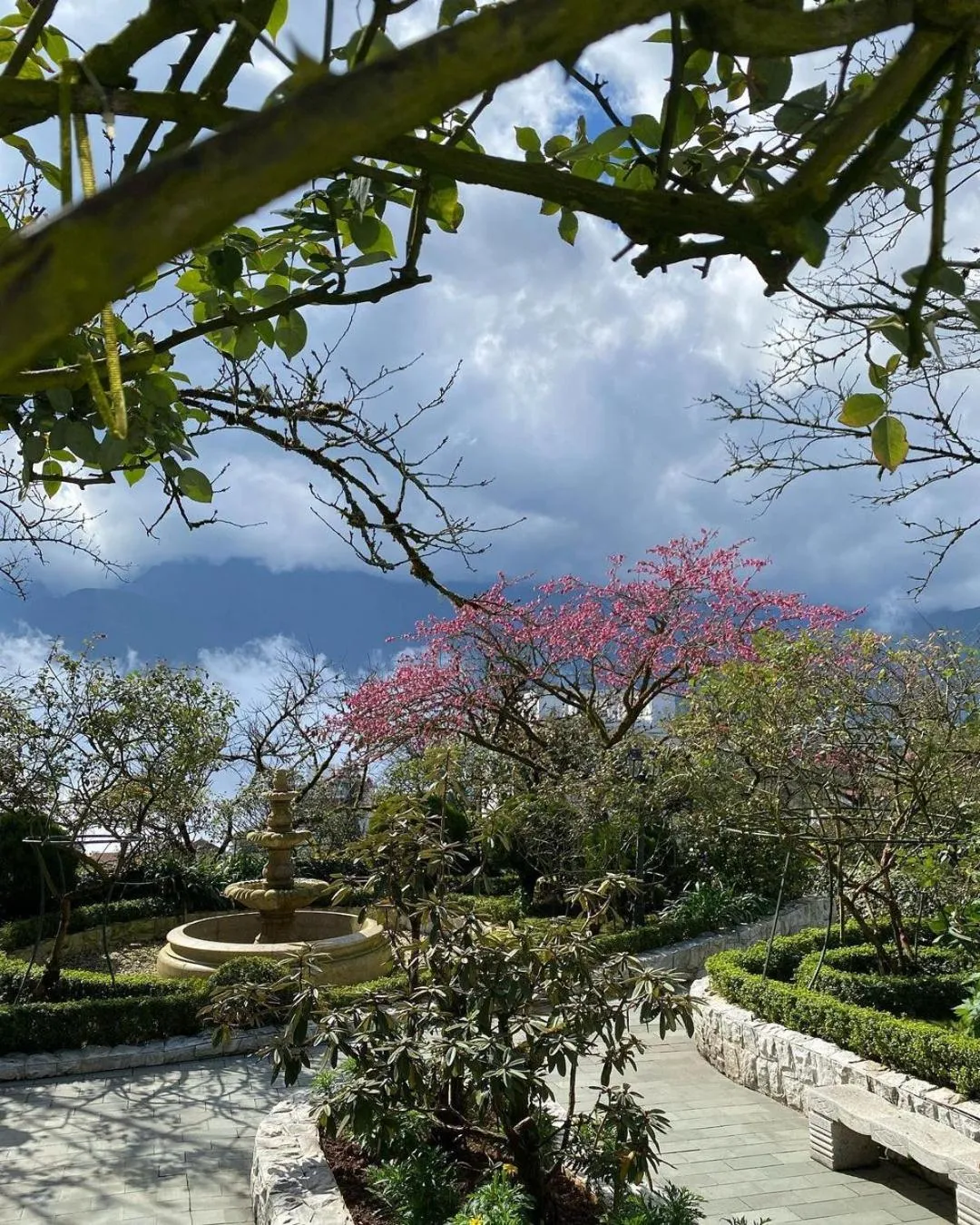 Garden in Silk Path Grand Sapa Resort & Spa