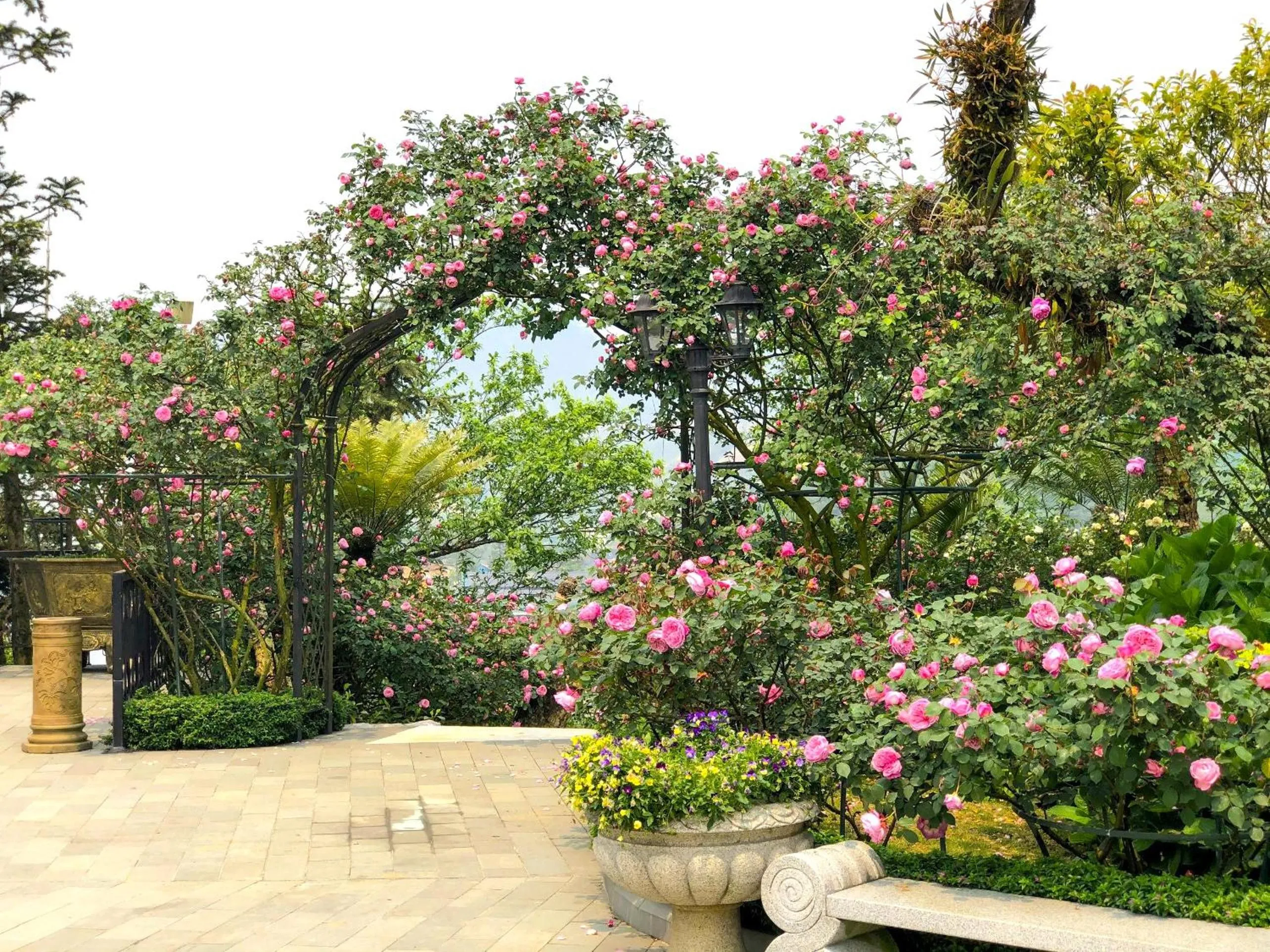 Garden in Silk Path Grand Sapa Resort & Spa