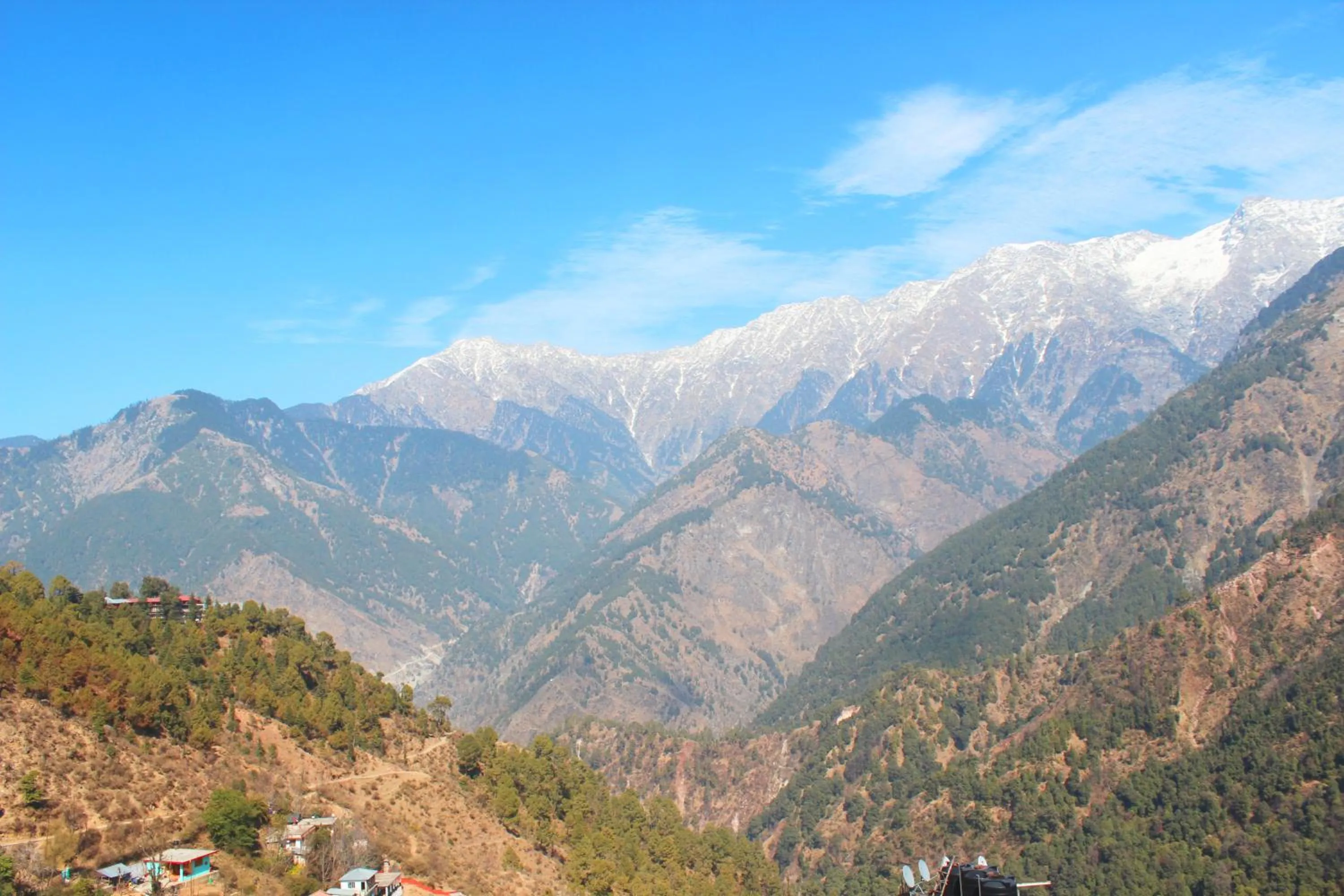 Facade/entrance in Hotel Victoriya Palace,Mcleod Ganj