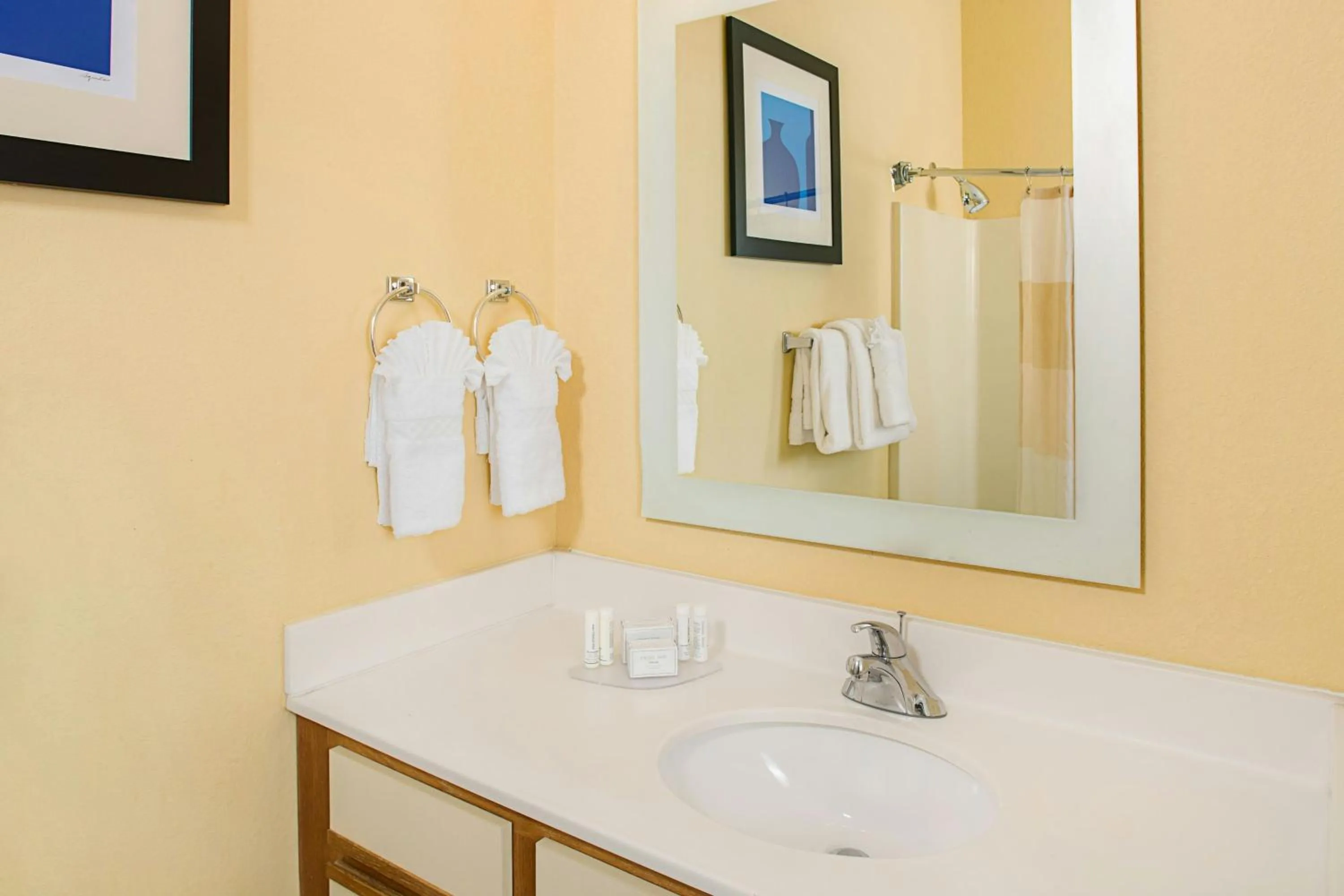 Bathroom in TownePlace Suites Wichita East