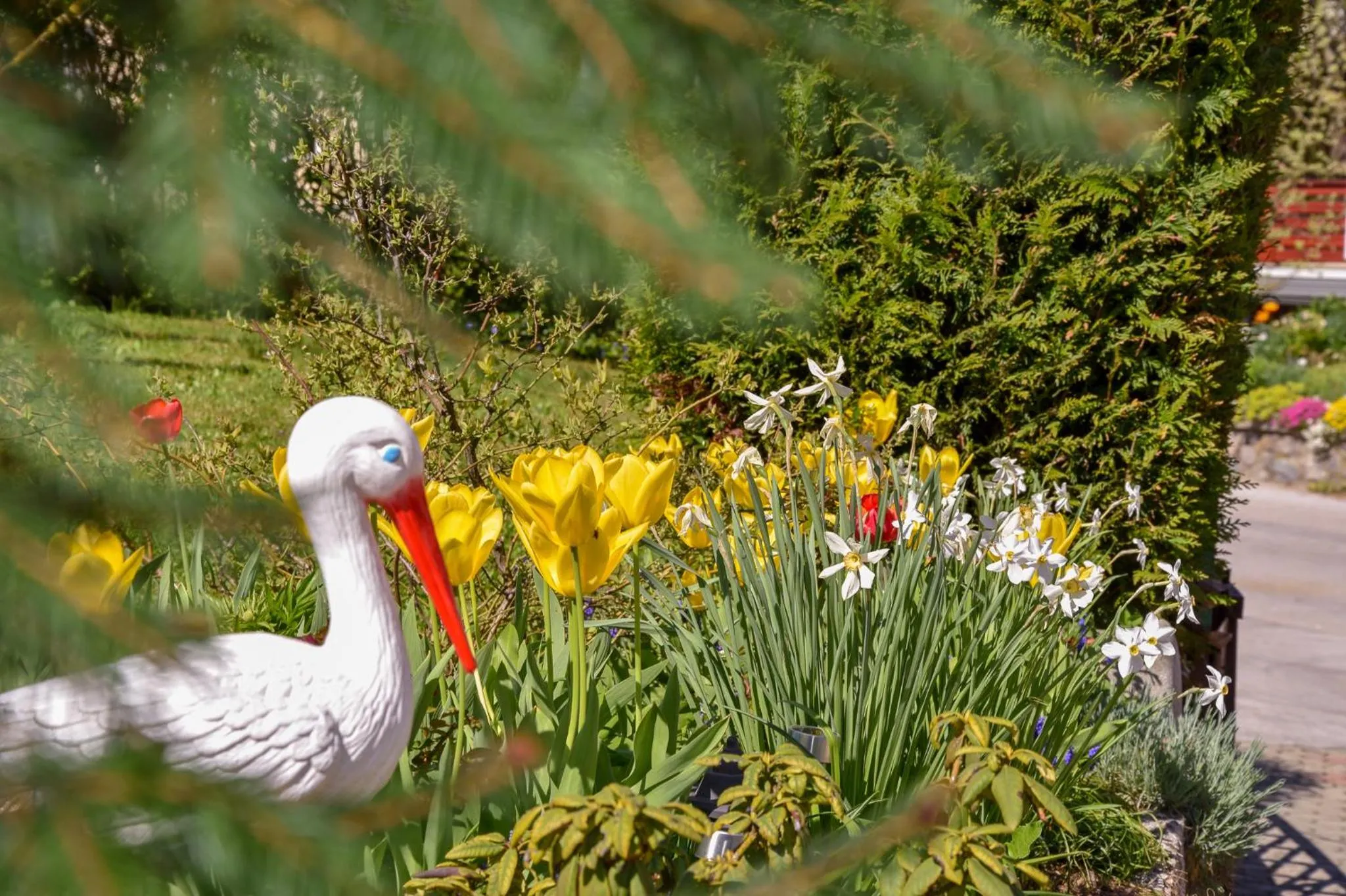 Garden in Apartma Franko