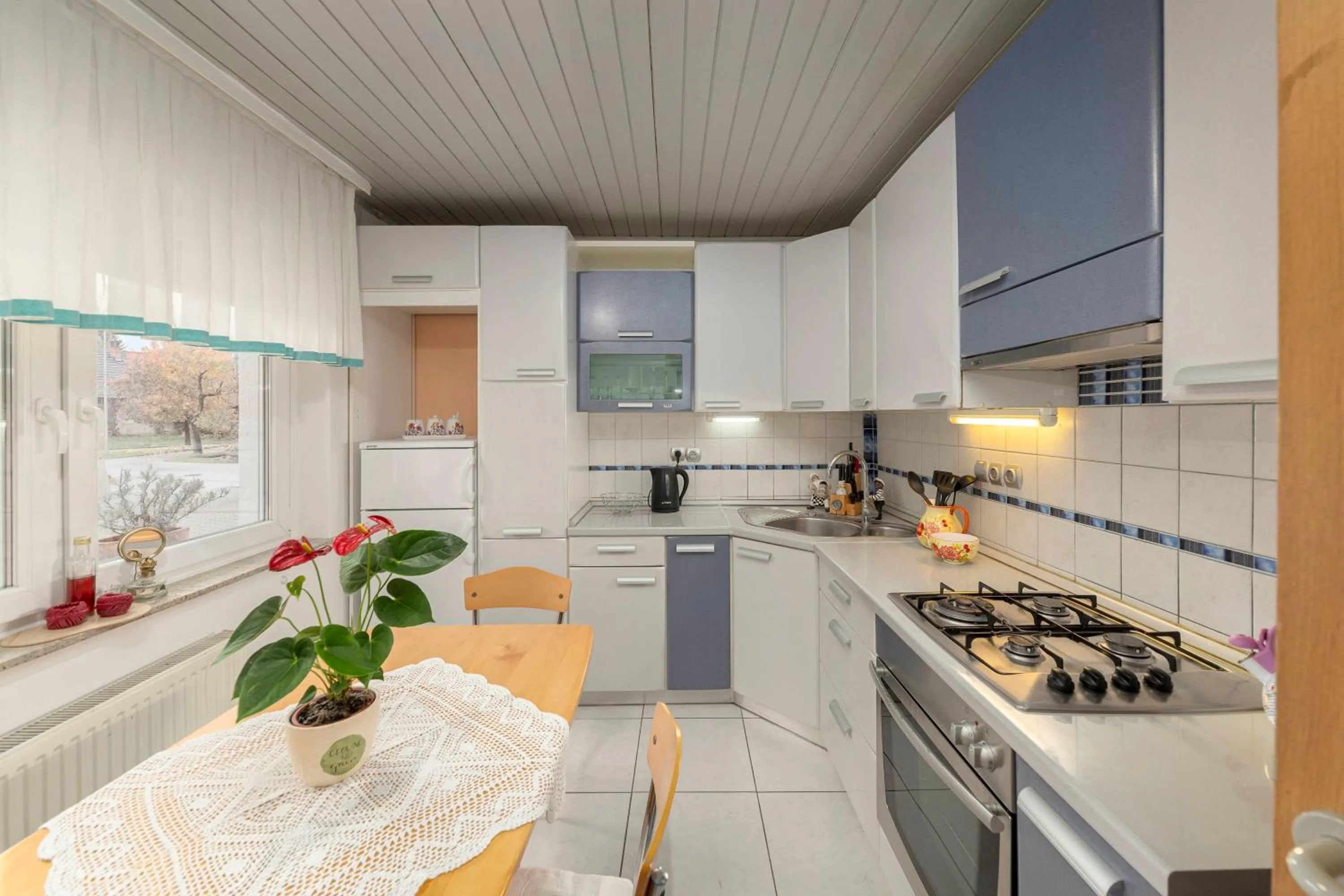 Kitchen or kitchenette in Apartma Franko