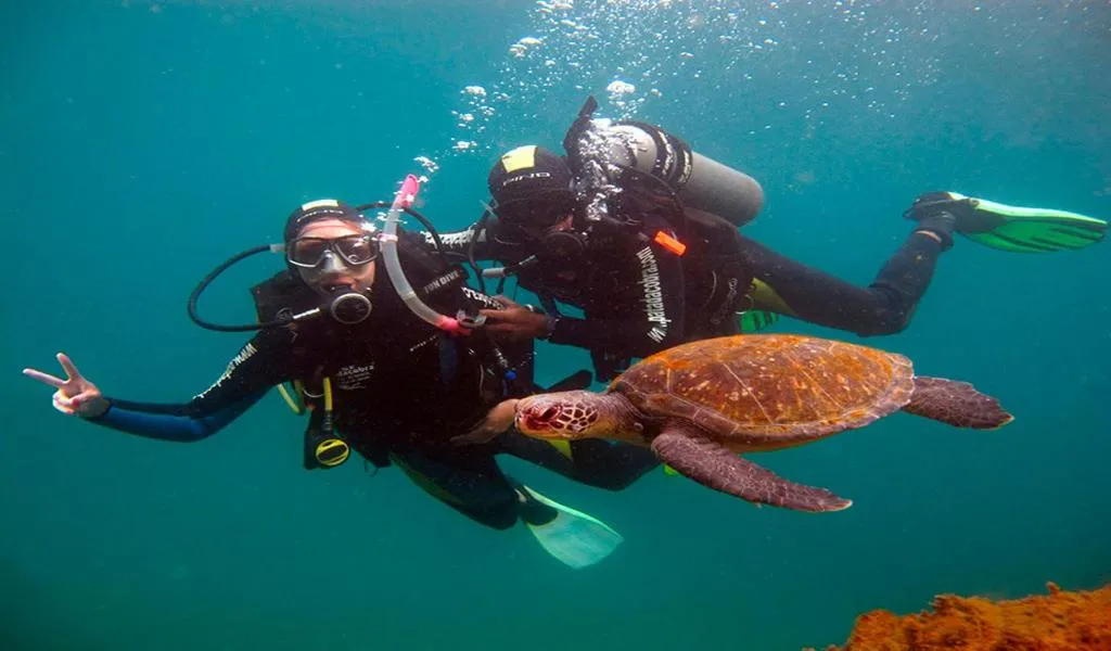 Diving in Pousada Palmeiras