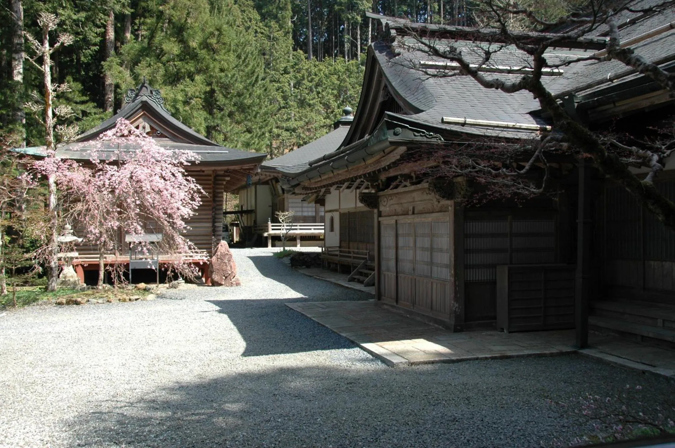 Other in 高野山 宿坊 不動院 -Koyasan Shukubo Fudoin-
