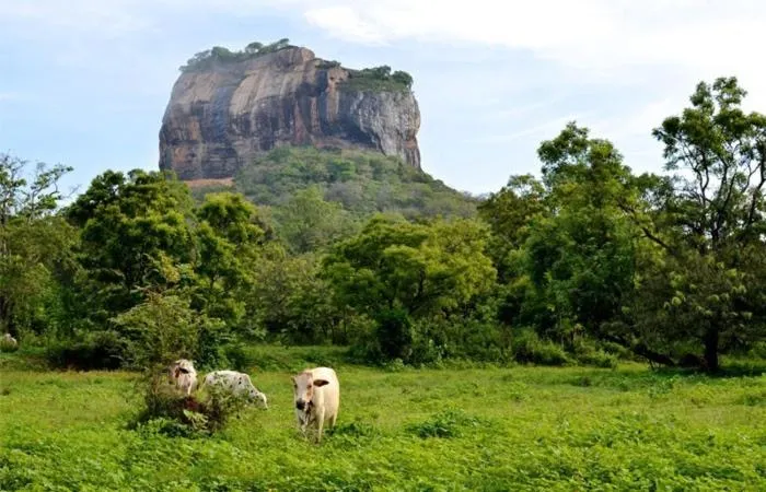 Kings Village Sigiriya