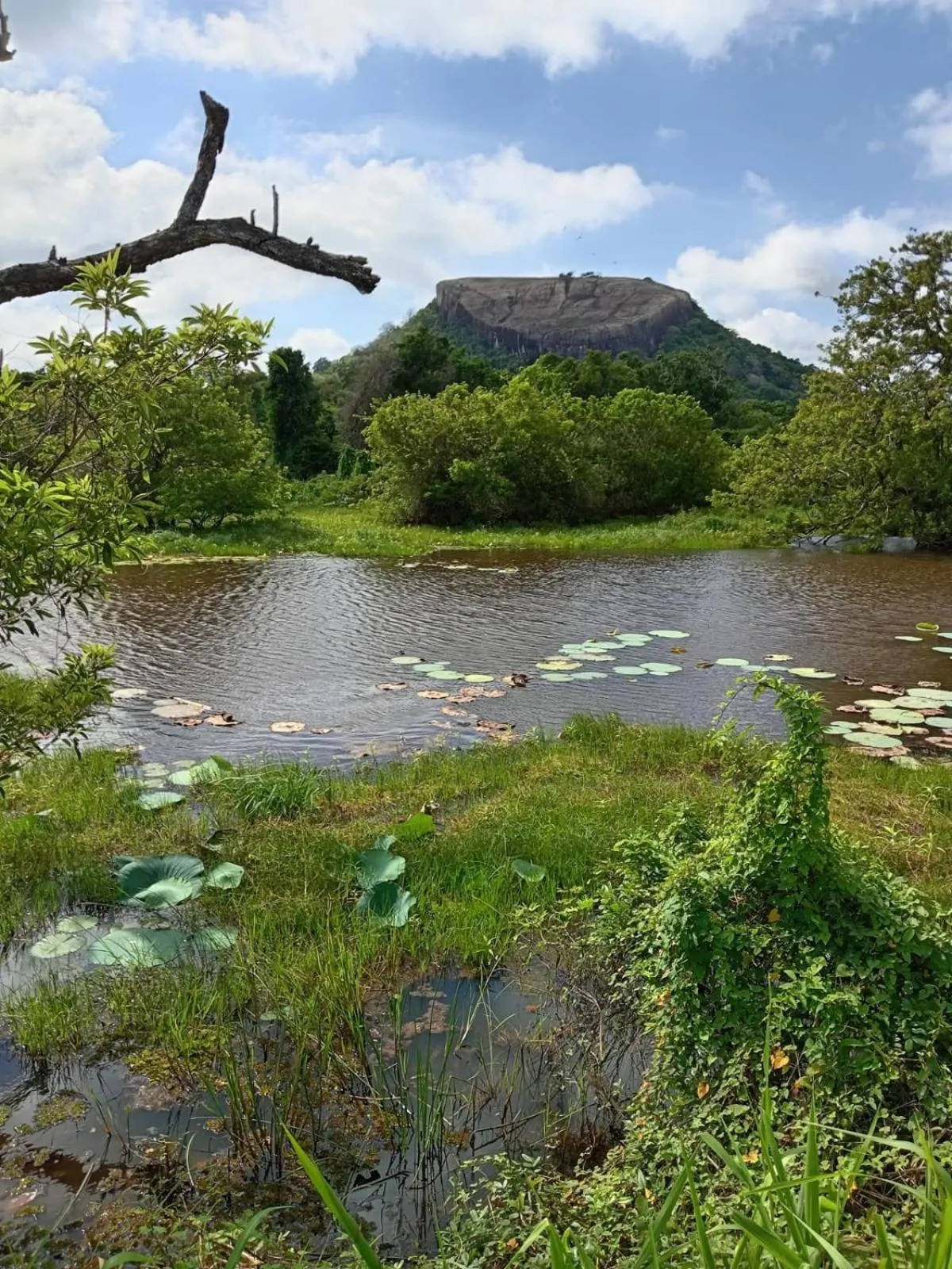 Kings Village Sigiriya