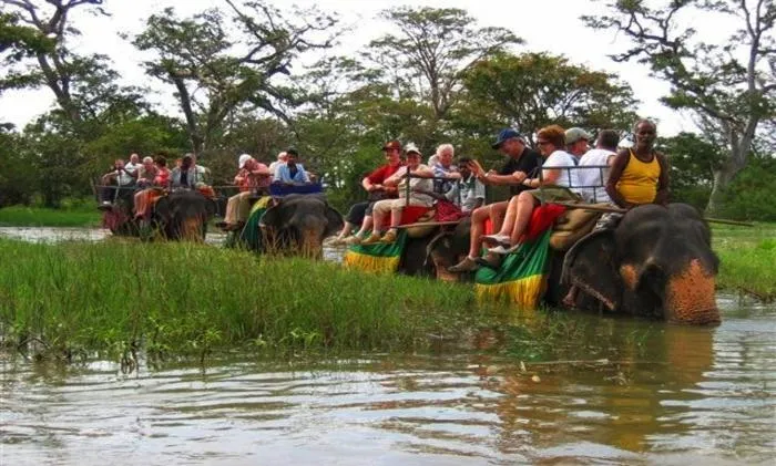 Kings Village Sigiriya