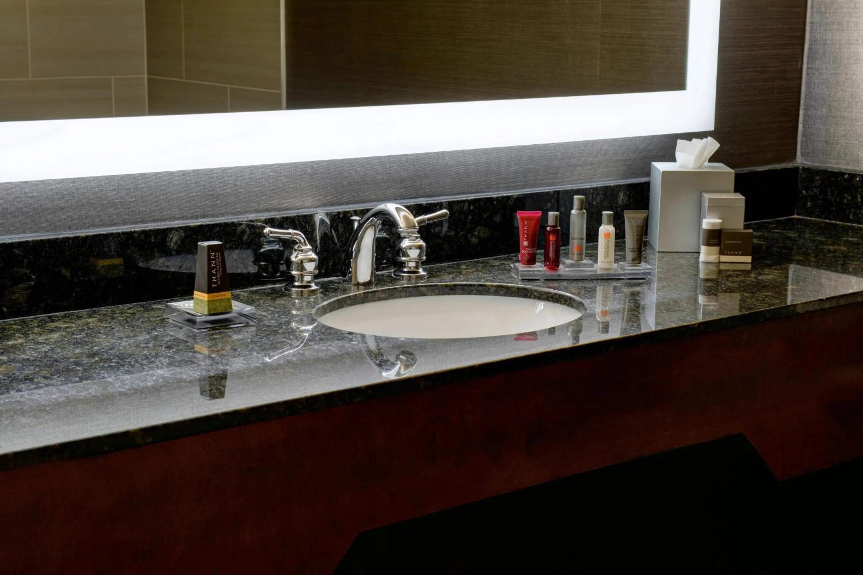 Bathroom in Marriott East Lansing at University Place