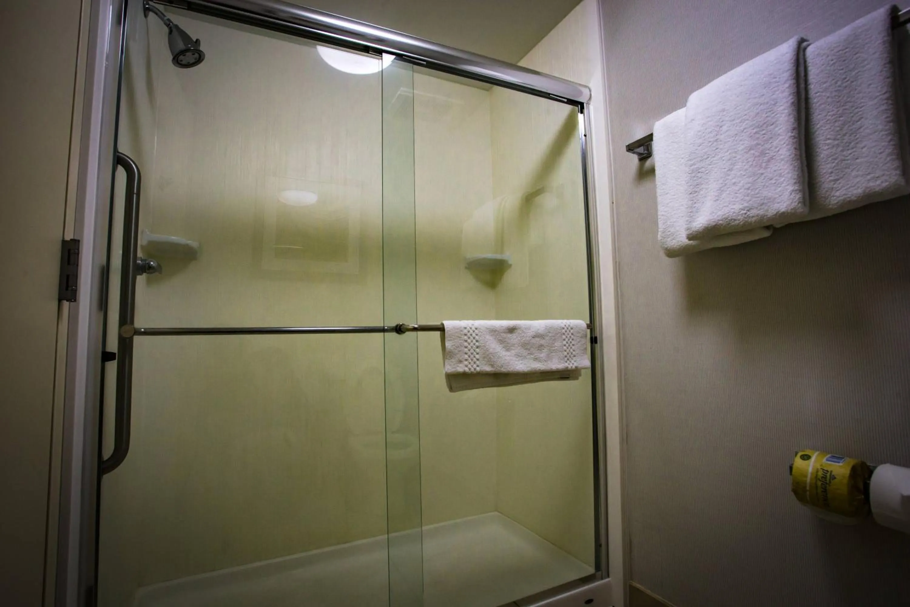 Bathroom in Courtyard Memphis East/Bill Morris Parkway