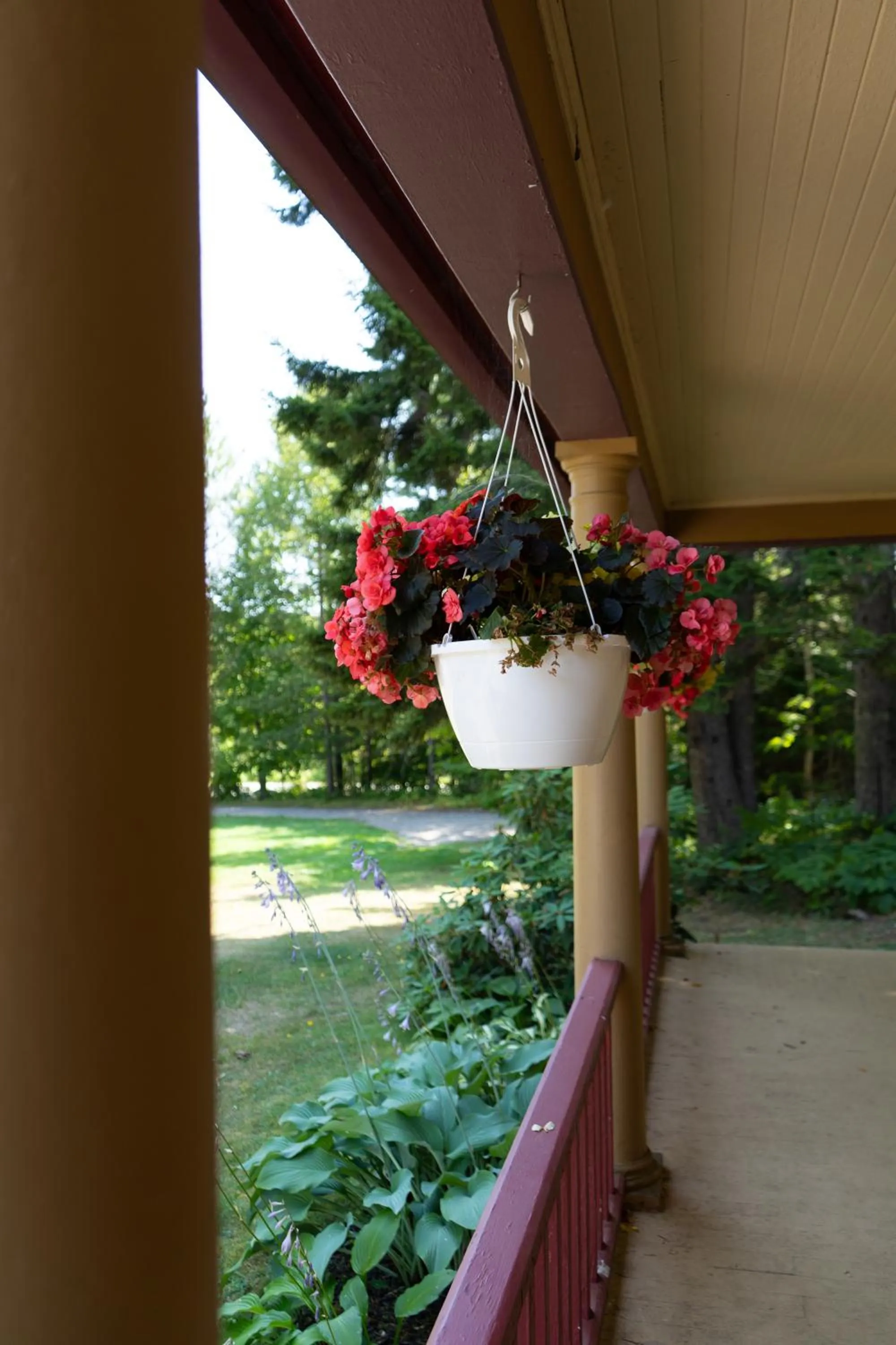 Patio in Dominion Hill Country Inn