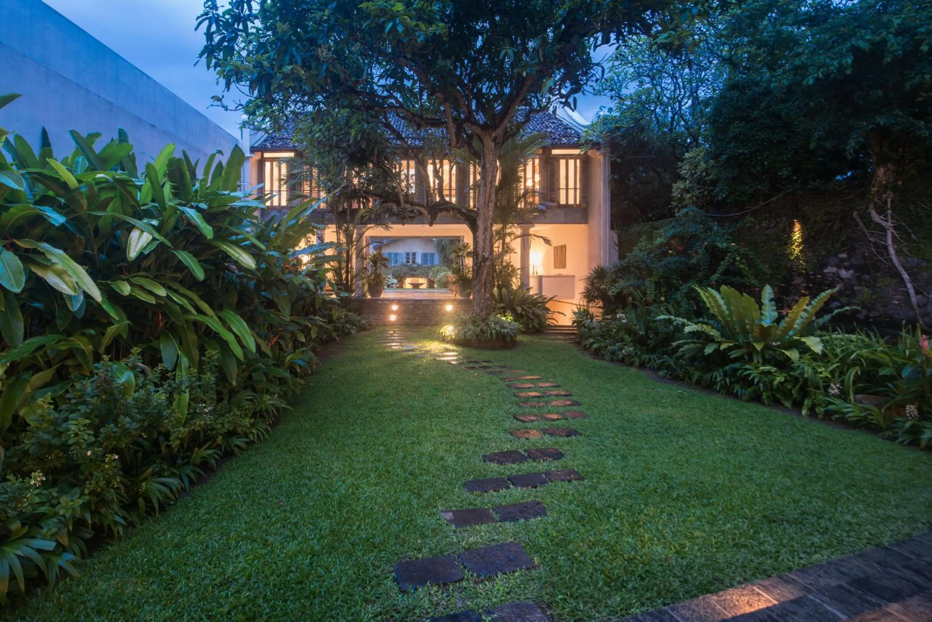 Garden in 20 Middle Street