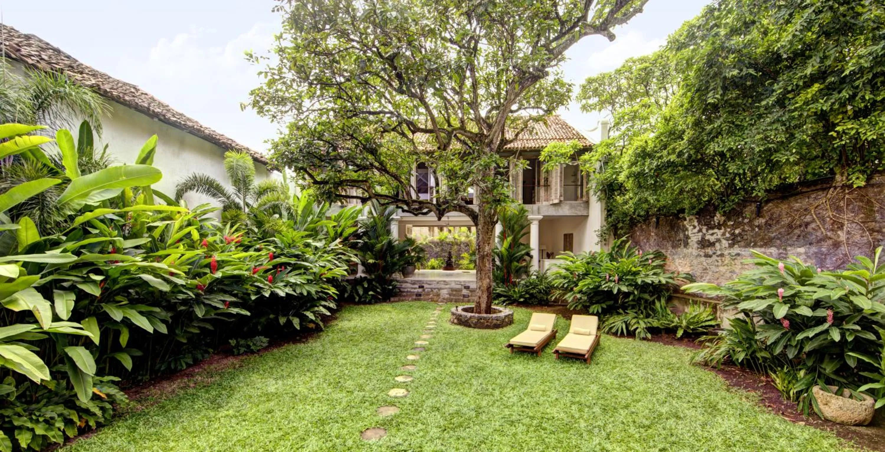 Garden in 20 Middle Street