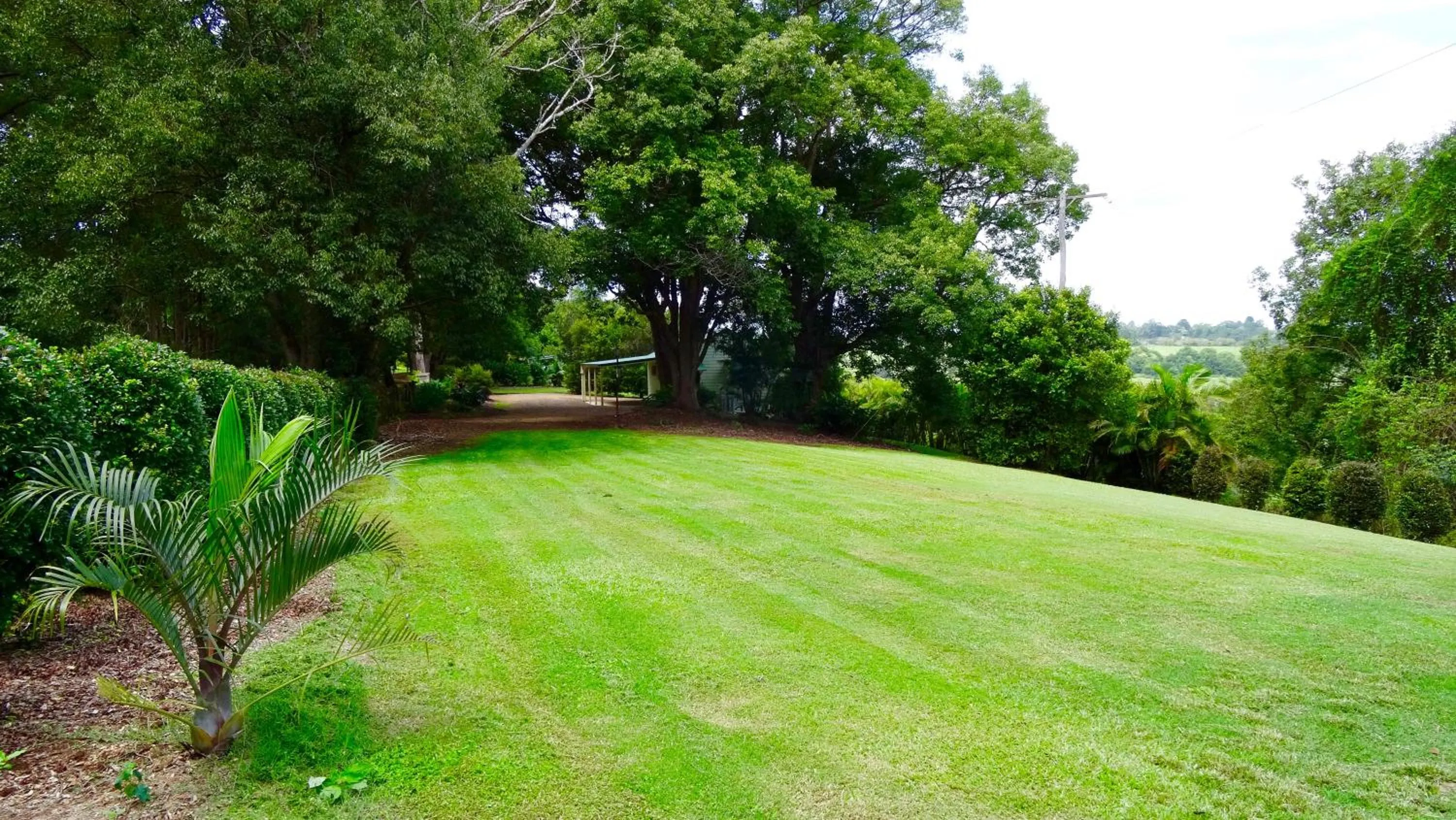 Garden in Maleny Luxury Cottages