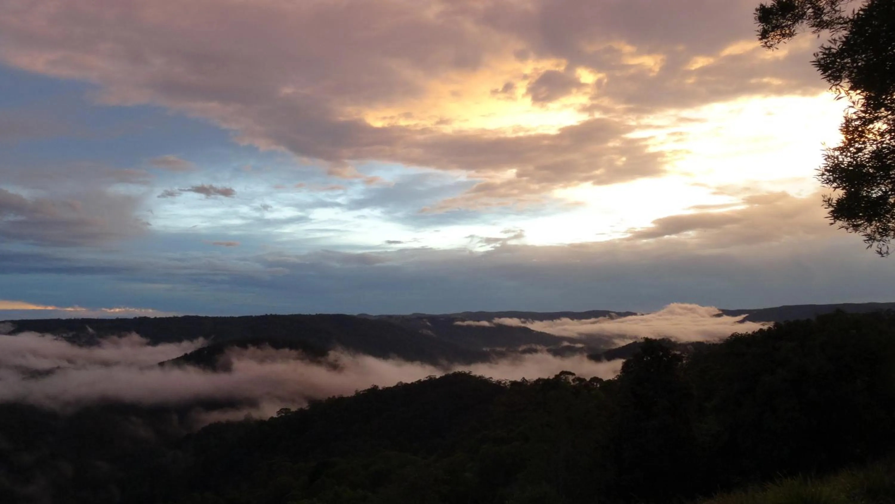View (from property/room) in Maleny Luxury Cottages